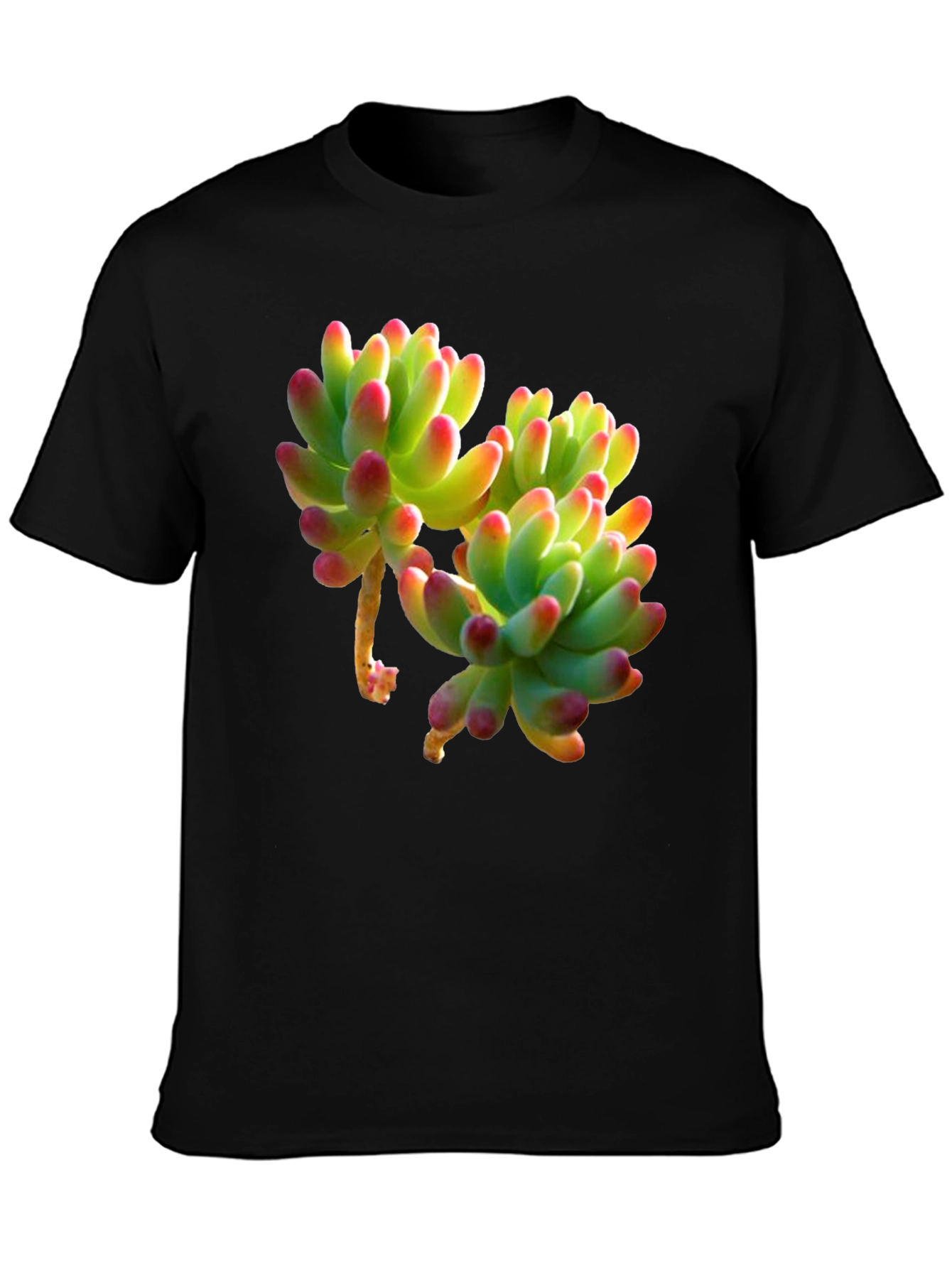 Succulent Graphic Tee - Stylish Plant Lover Shirt