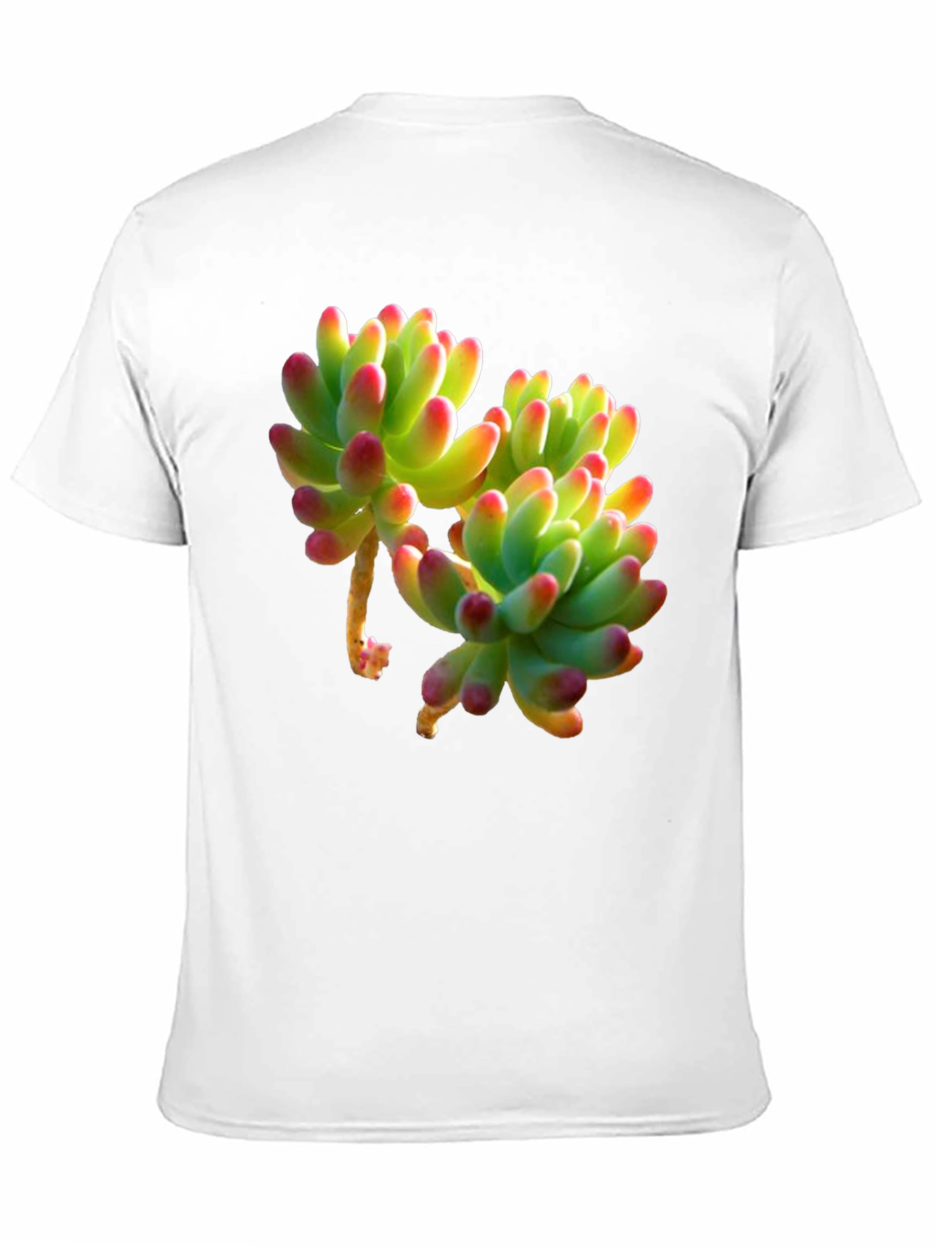 Succulent Graphic Tee - Stylish Plant Lover Shirt