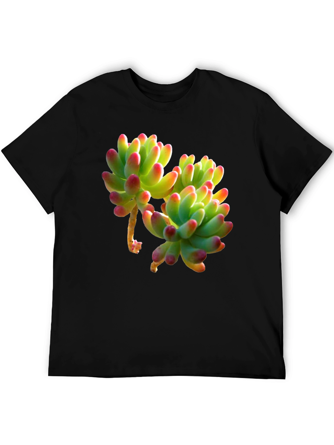 Succulent Graphic Tee - Stylish Plant Lover Shirt