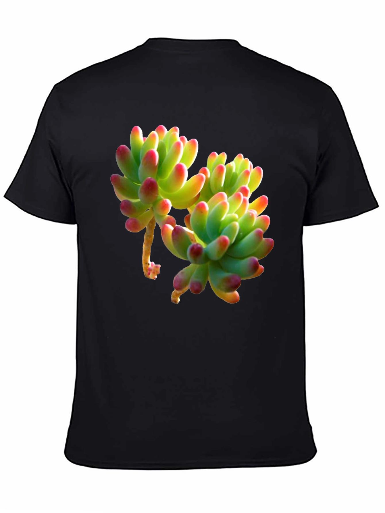 Succulent Graphic Tee - Stylish Plant Lover Shirt