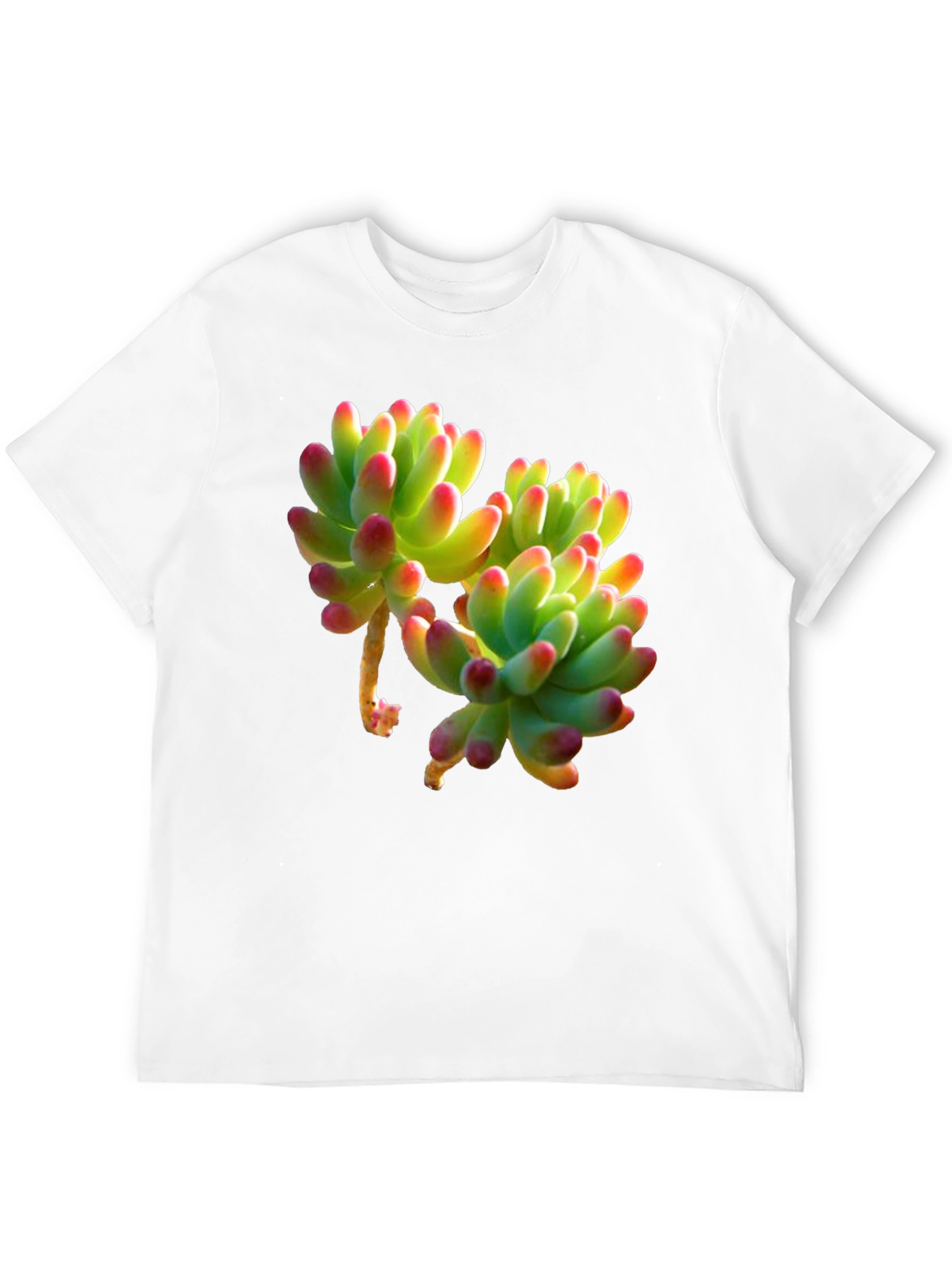 Succulent Graphic Tee - Stylish Plant Lover Shirt