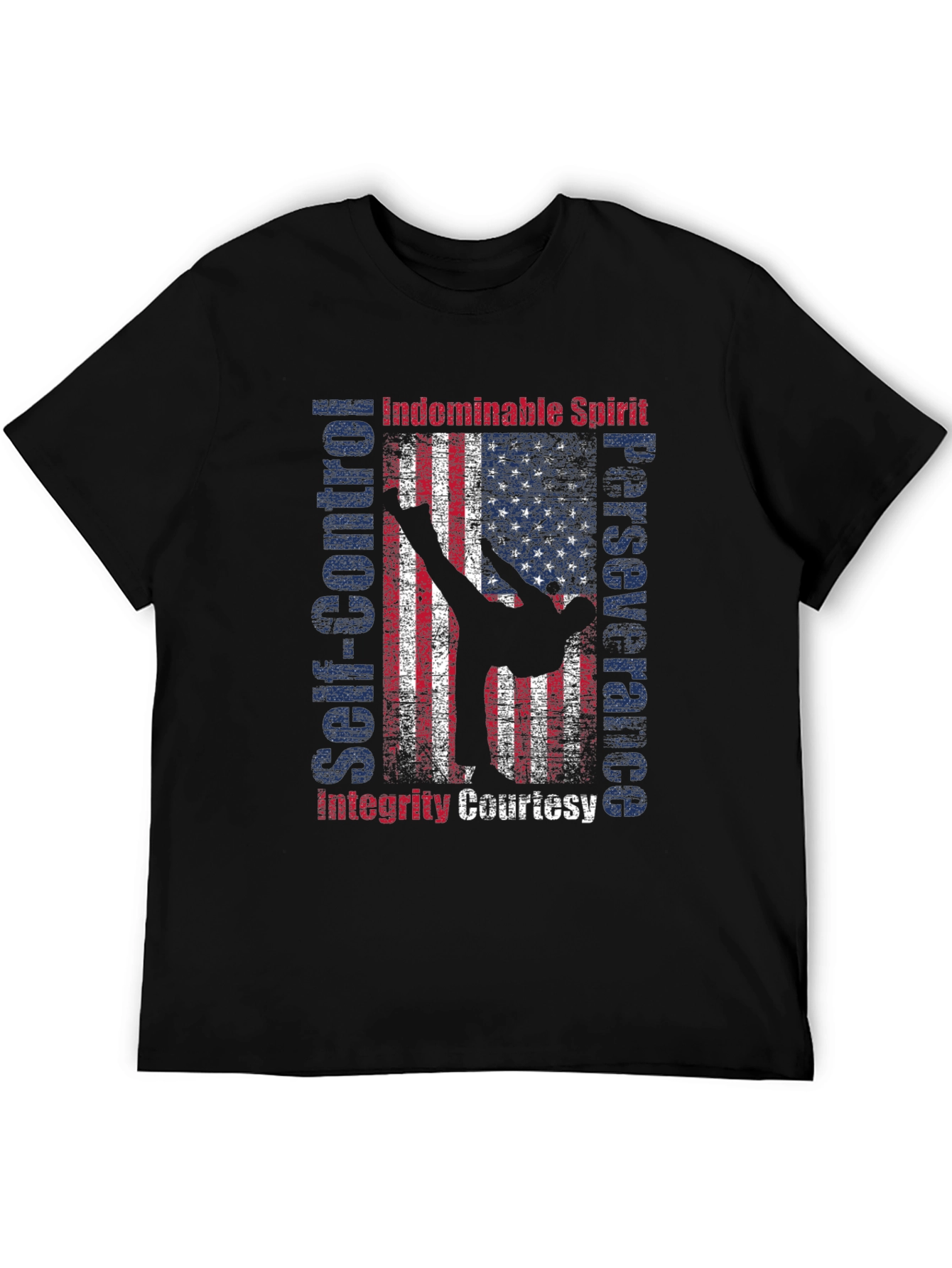 Martial Arts American Flag Patriotic Graphic T-Shirt