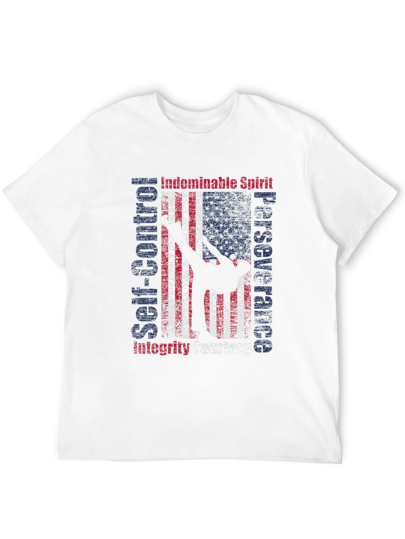 Martial Arts American Flag Patriotic Graphic T-Shirt