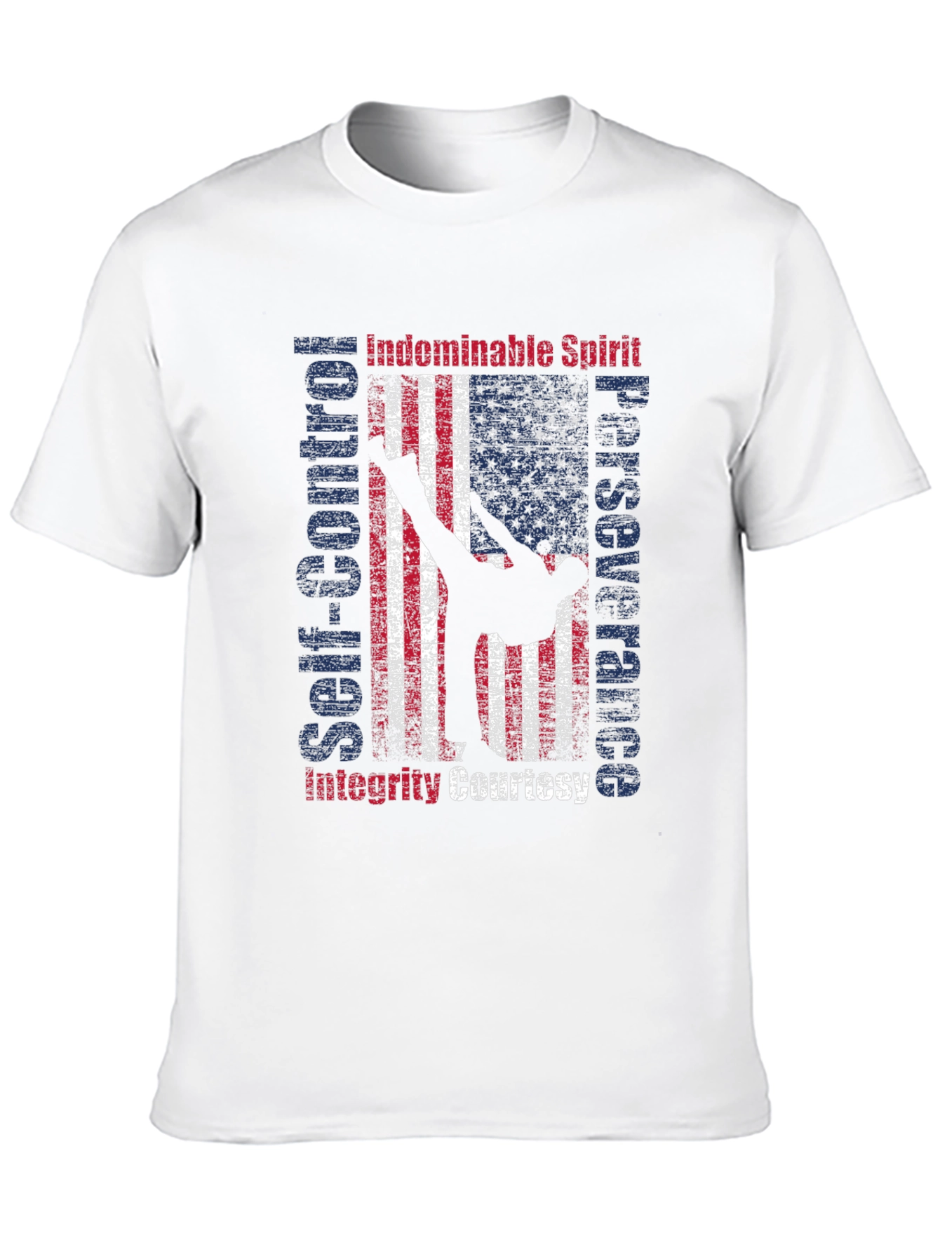 Martial Arts American Flag Patriotic Graphic T-Shirt