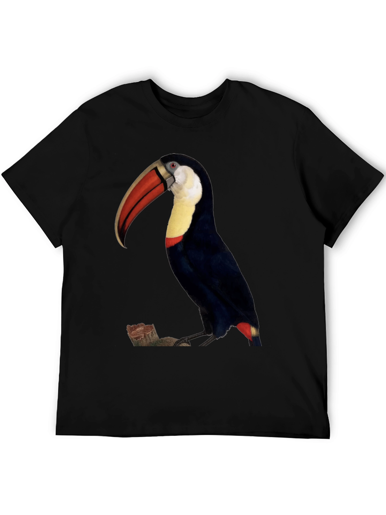 Toucan Bird Graphic Print Black T-Shirt