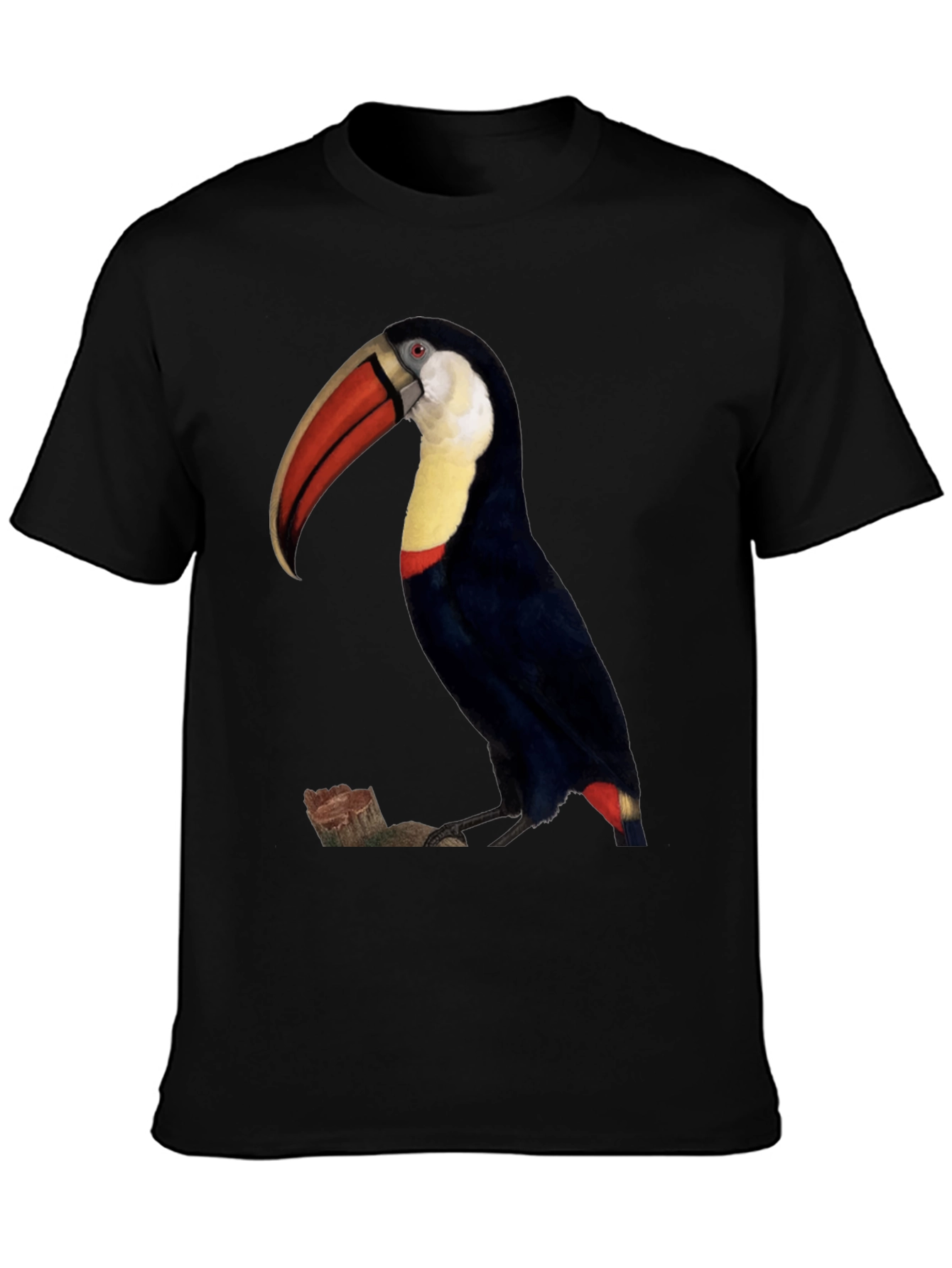 Toucan Bird Graphic Print Black T-Shirt