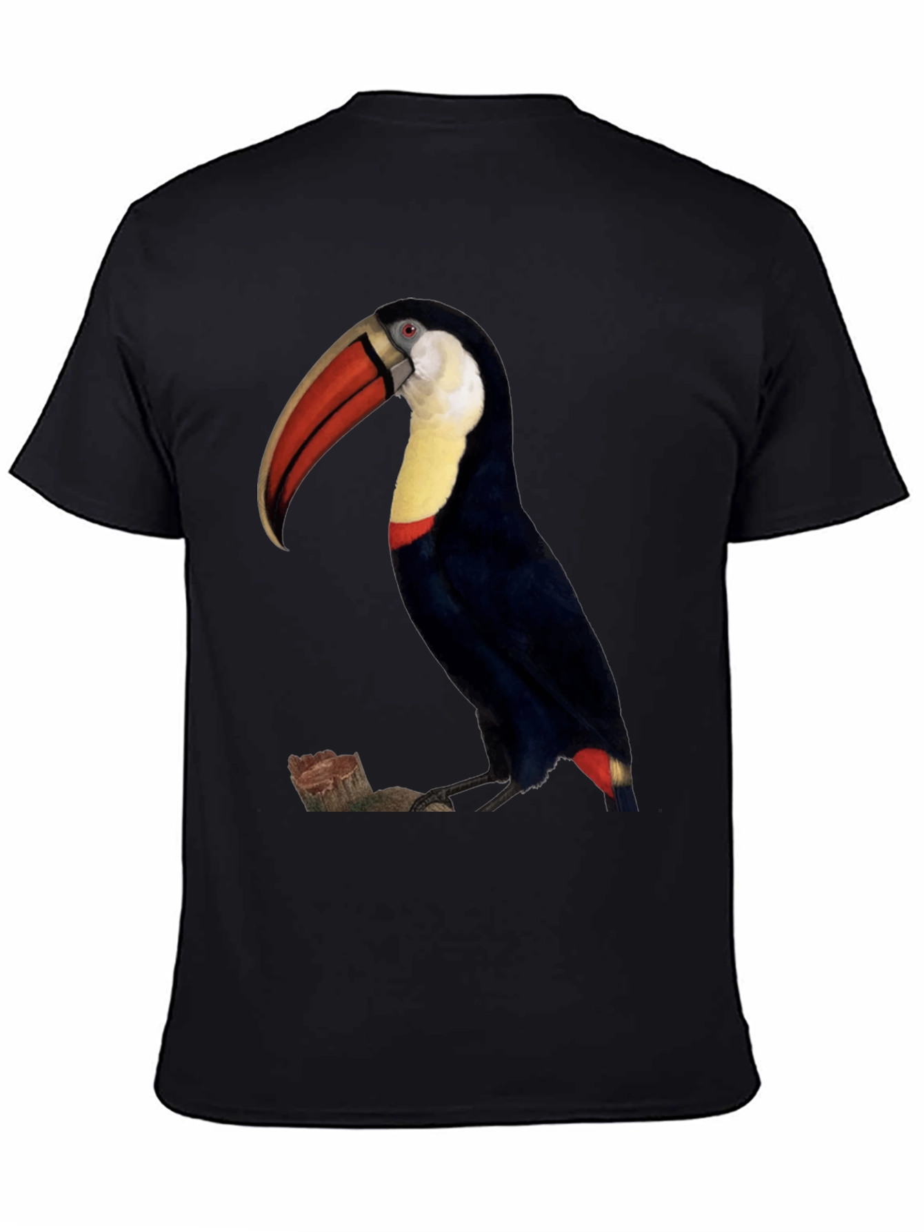 Toucan Bird Graphic Print Black T-Shirt