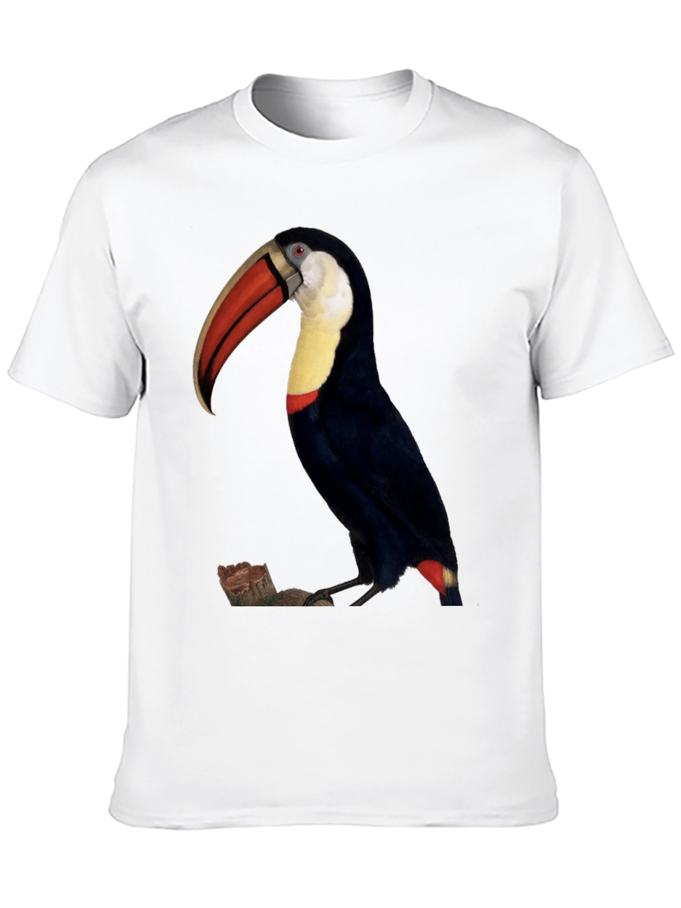 Toucan Bird Graphic Print Black T-Shirt