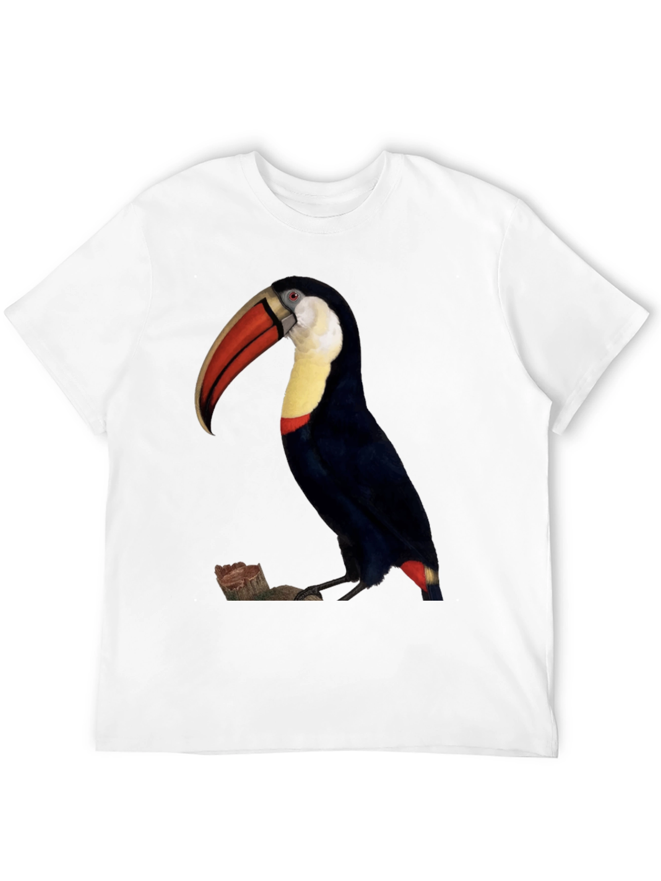 Toucan Bird Graphic Print Black T-Shirt