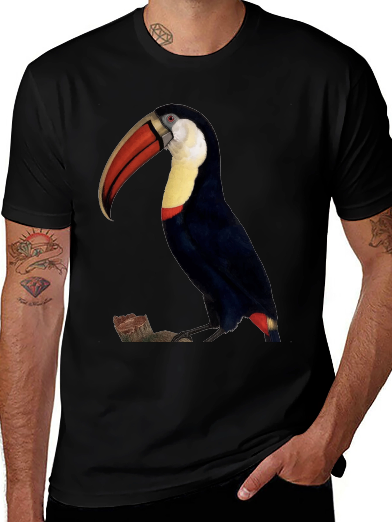 Toucan Bird Graphic Print Black T-Shirt