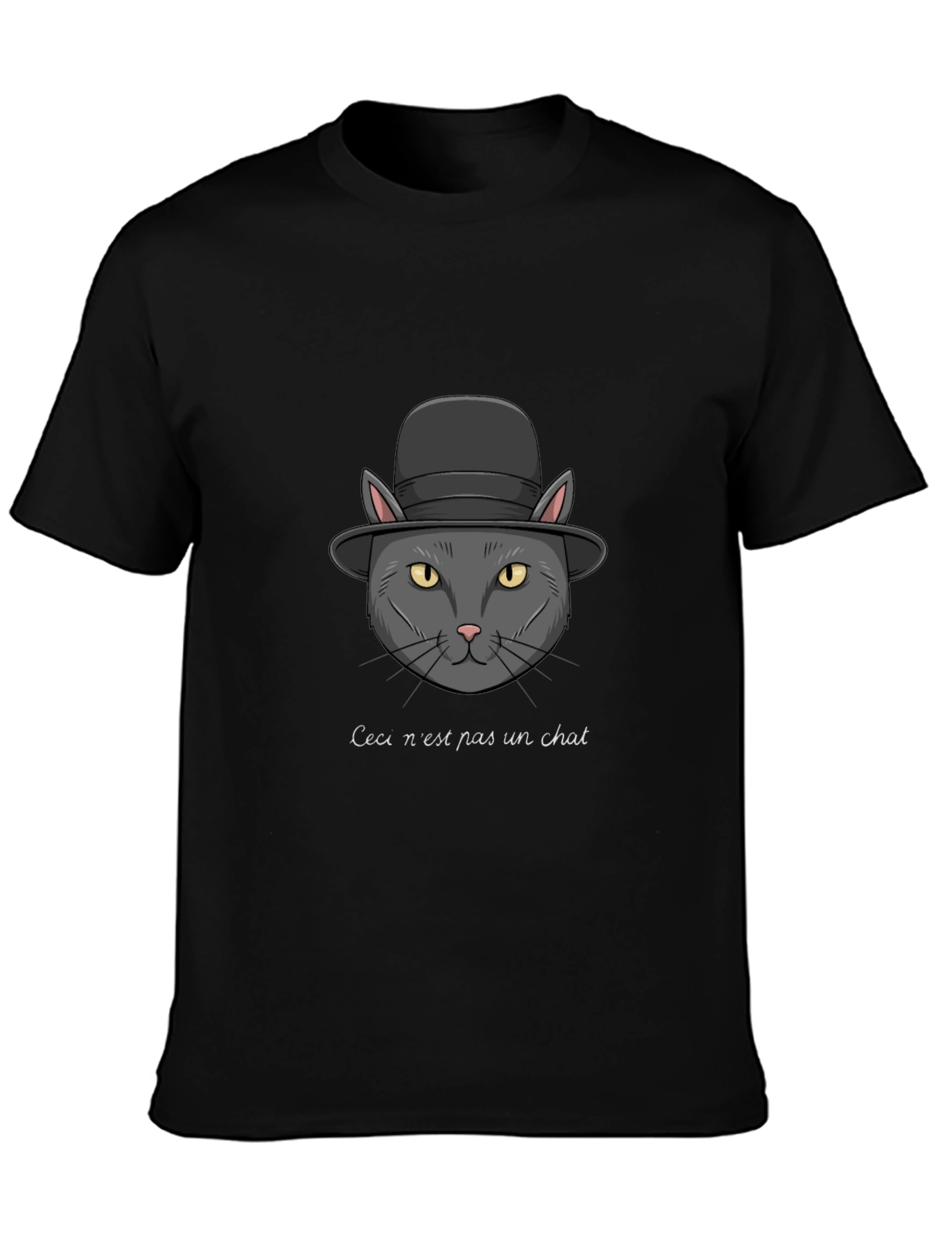 Ceci nest pas un chat T-Shirt