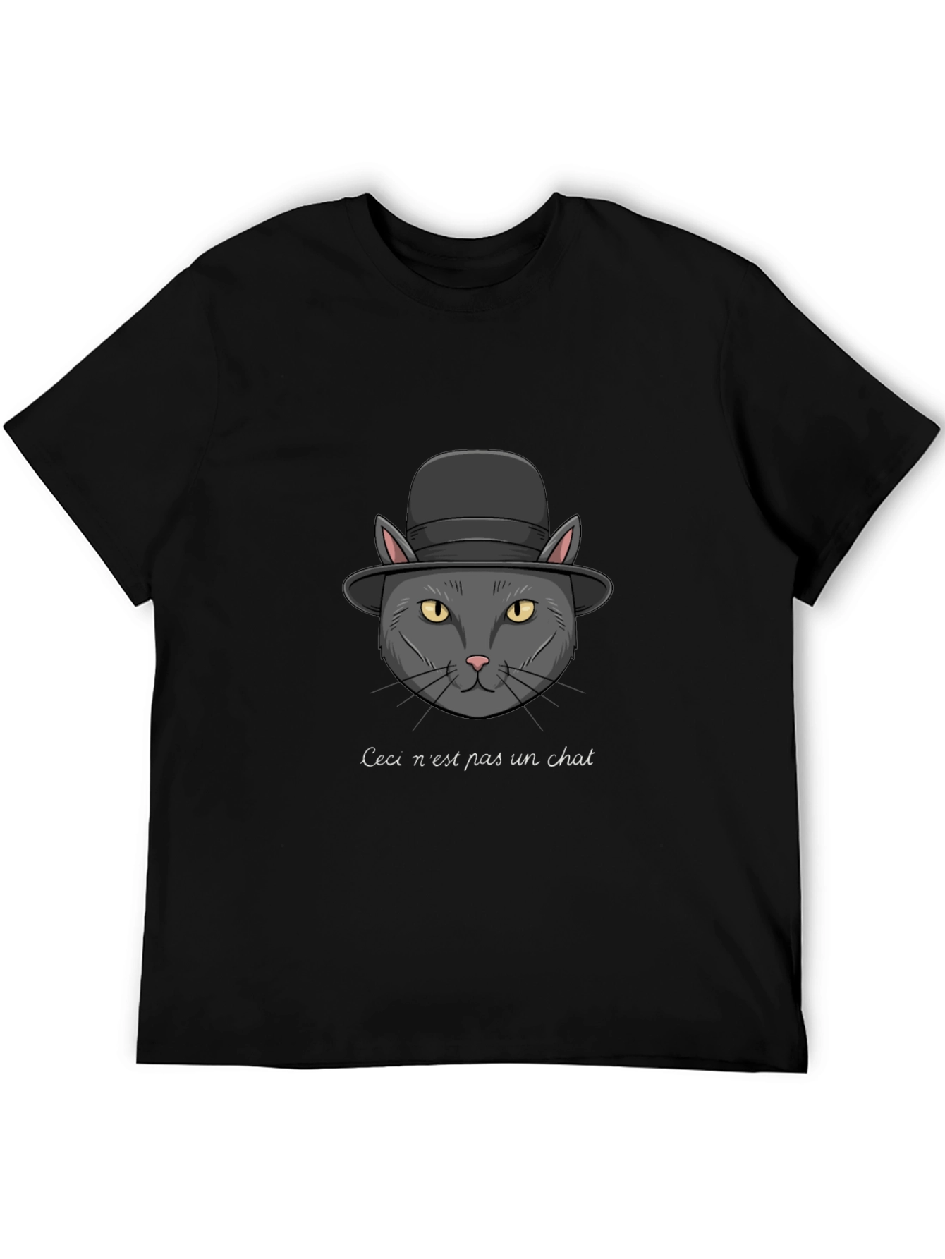 Ceci nest pas un chat T-Shirt