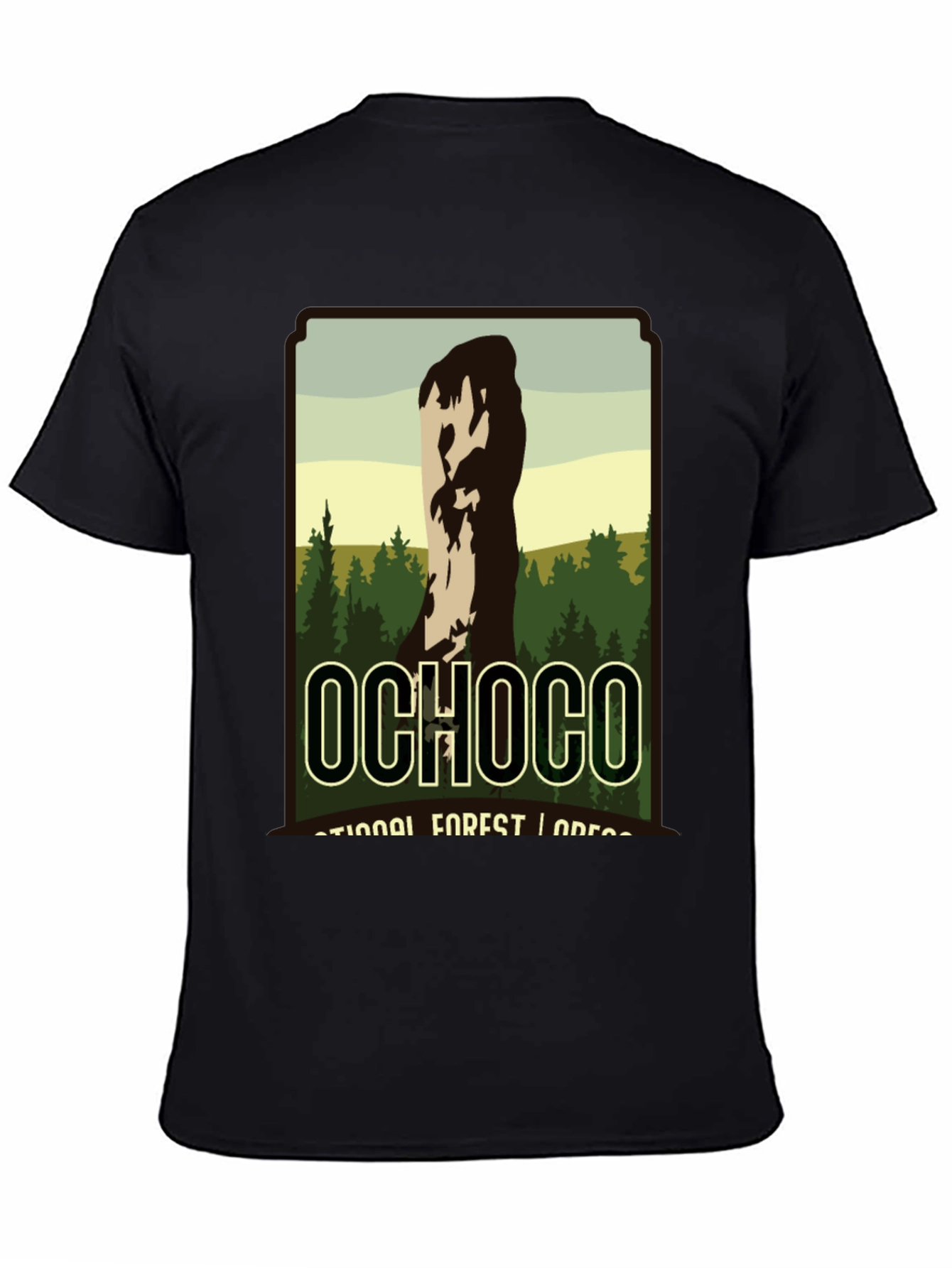 Ochoco National Forest Black Graphic T-Shirt