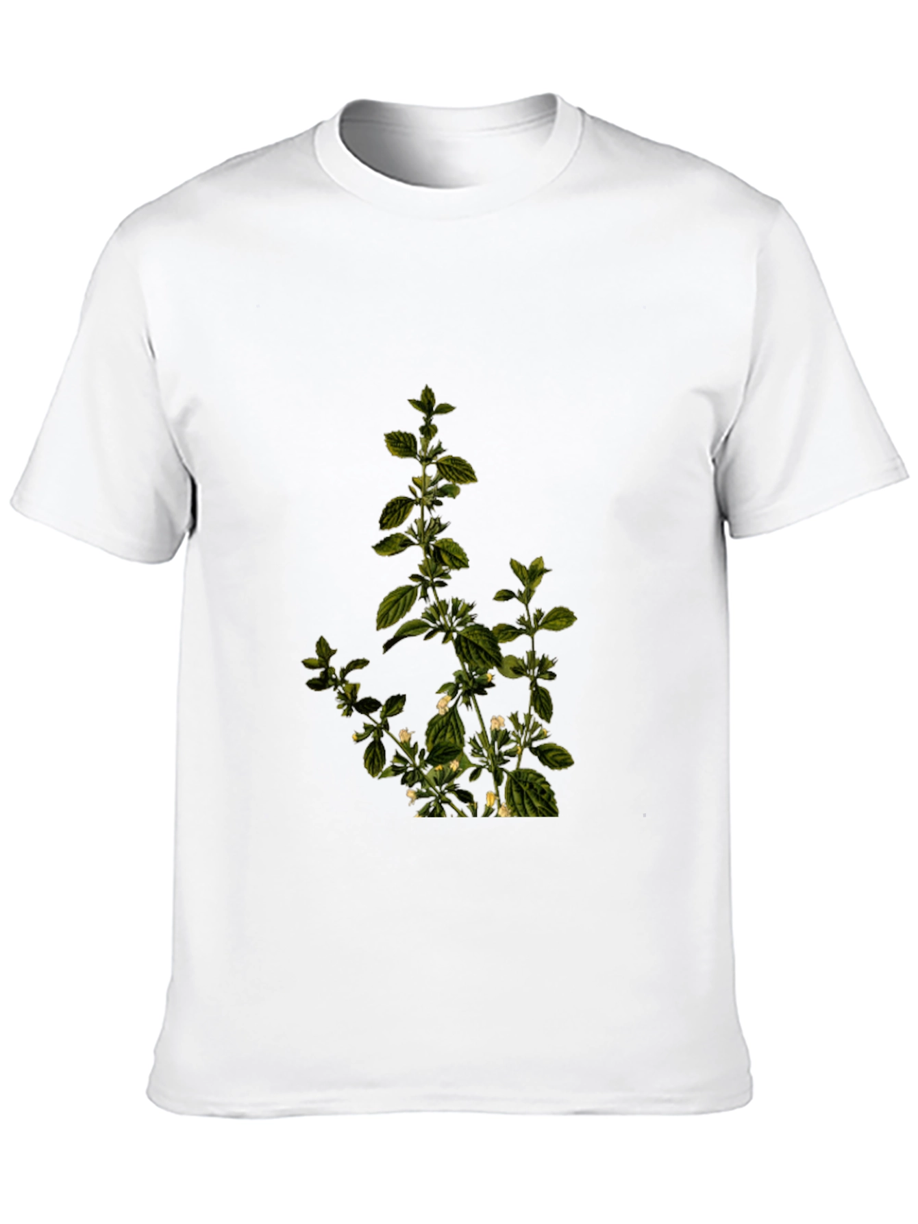 Botanical Print Black T-Shirt