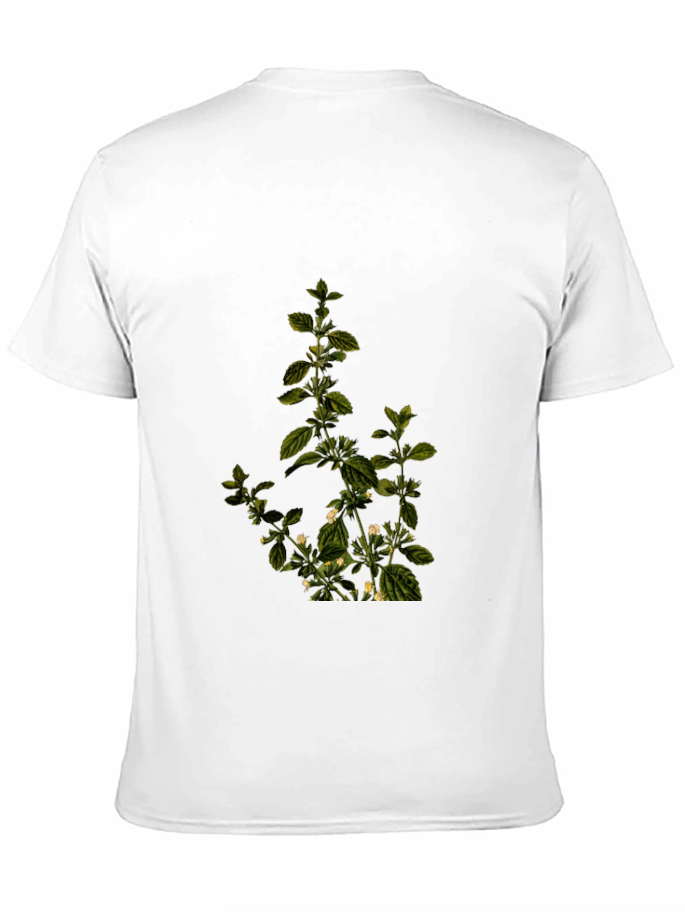 Botanical Print Black T-Shirt