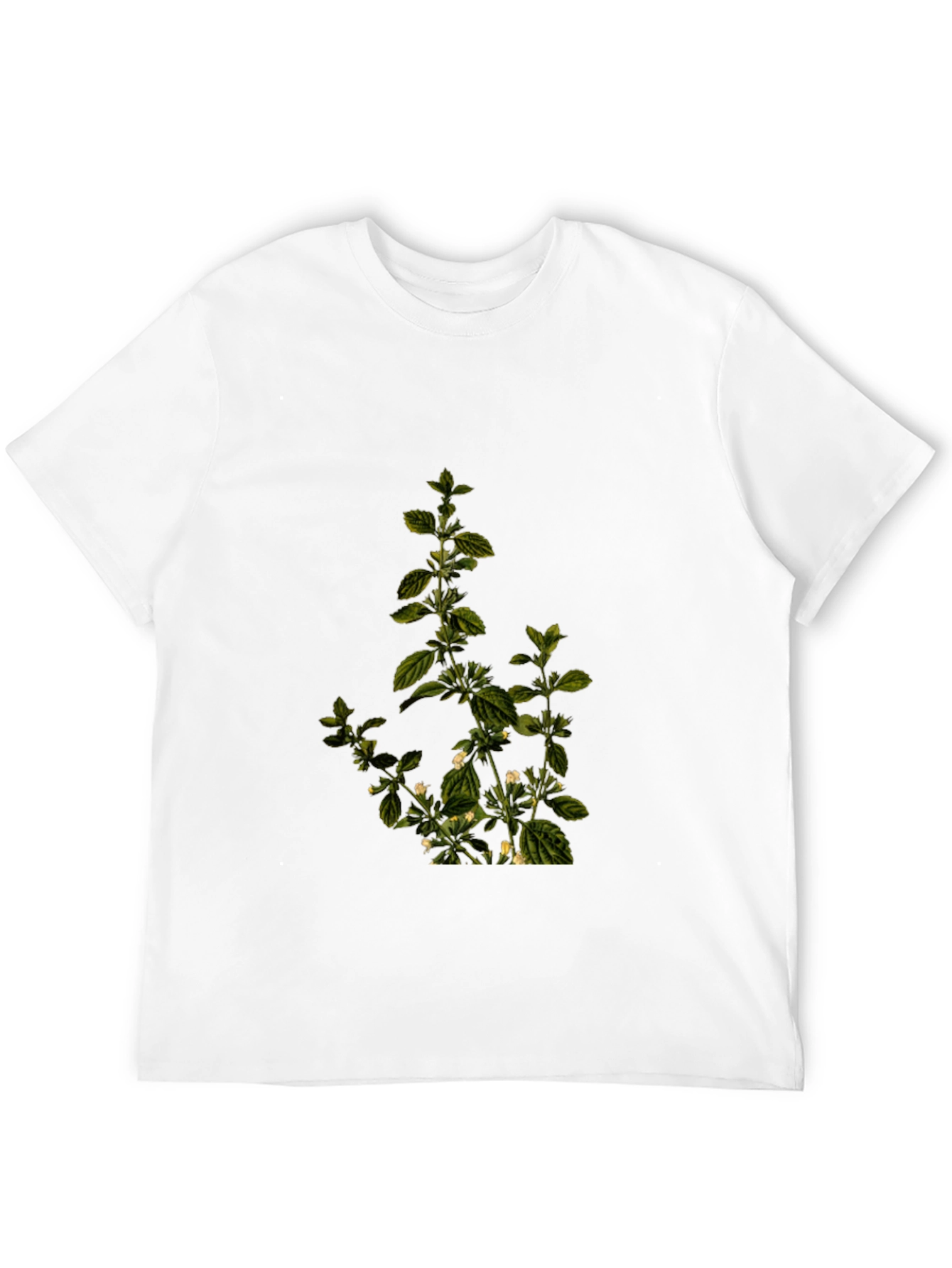 Botanical Print Black T-Shirt