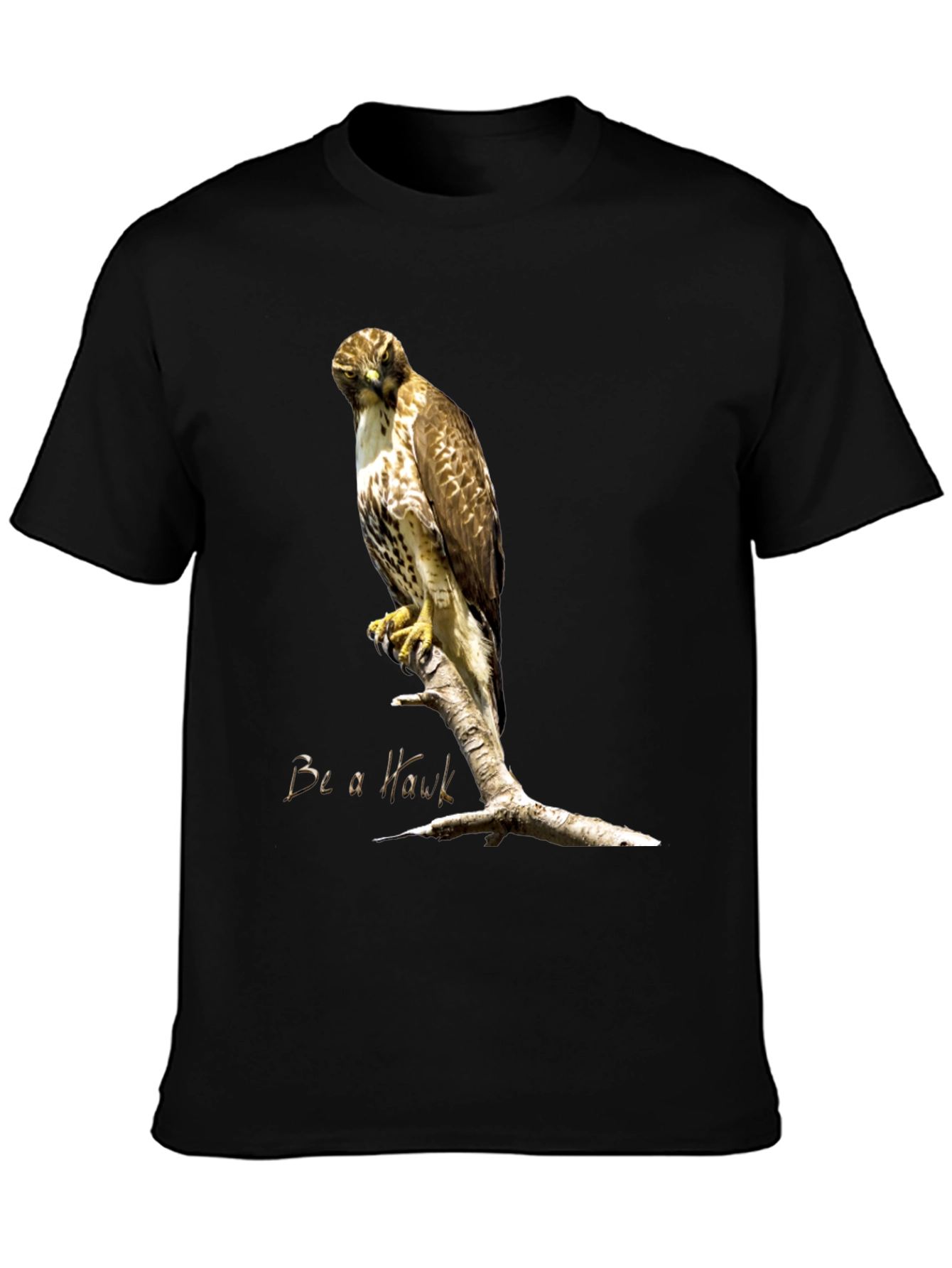 Be a Hawk Graphic T-Shirt
