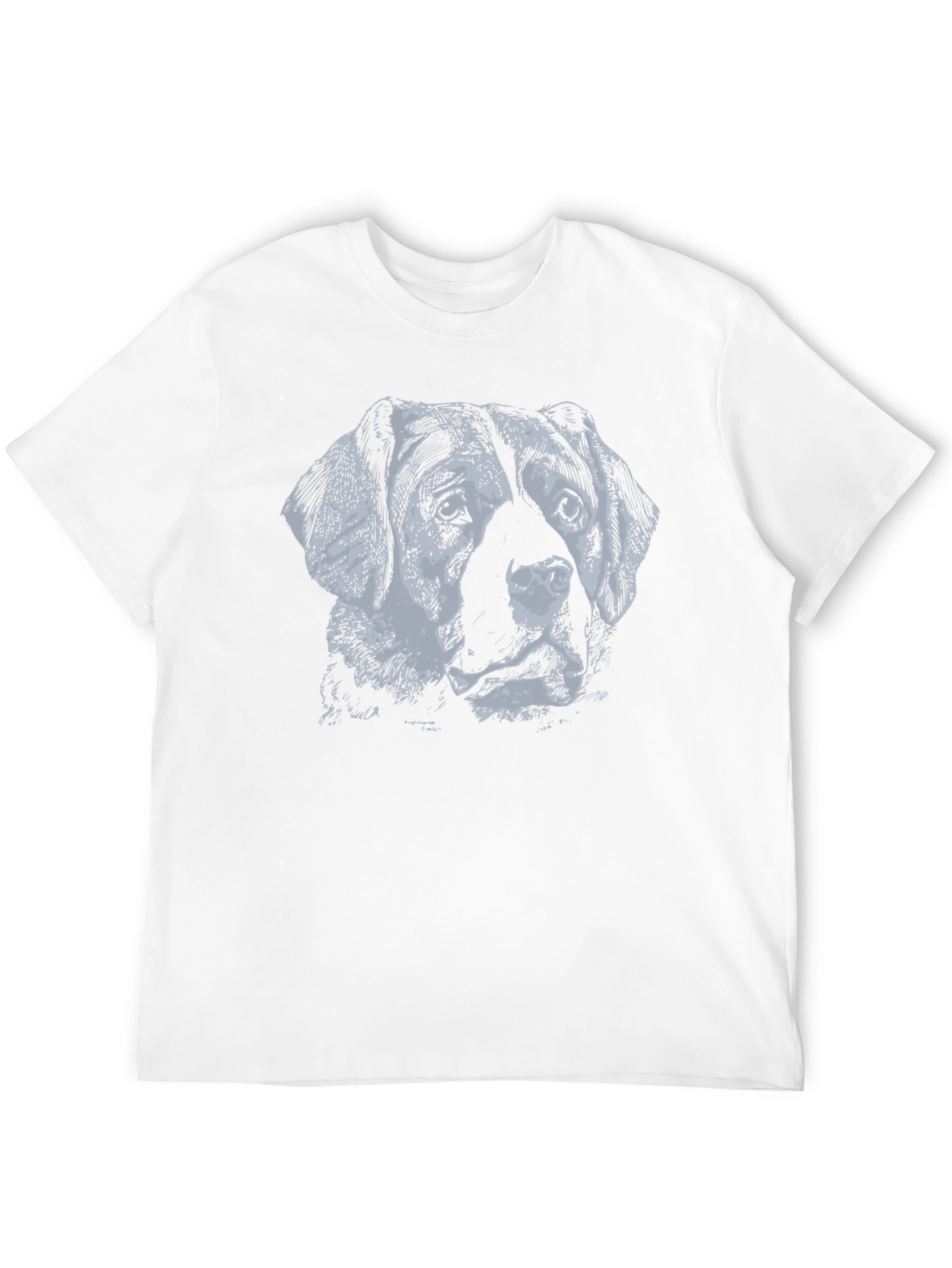 Mens Graphic Print Crew Neck T-Shirt