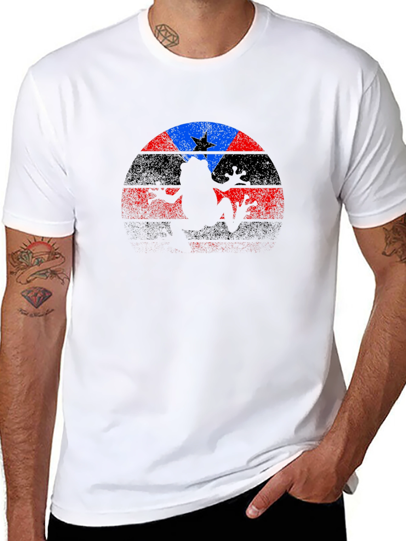 Coqui Frog Puerto Rico Flag Graphic T-Shirt