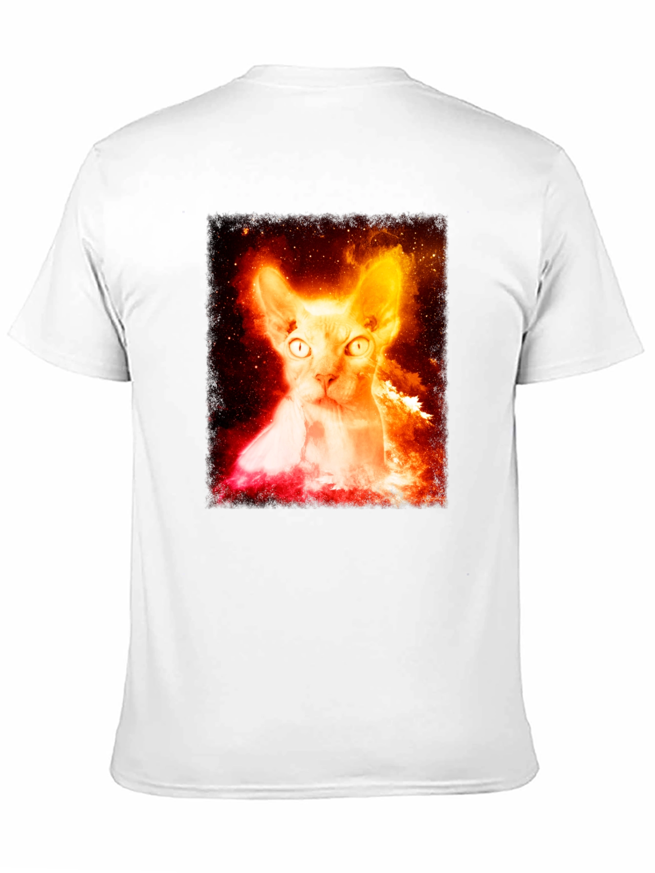 Sphynx Cat Galaxy Graphic Black T-Shirt