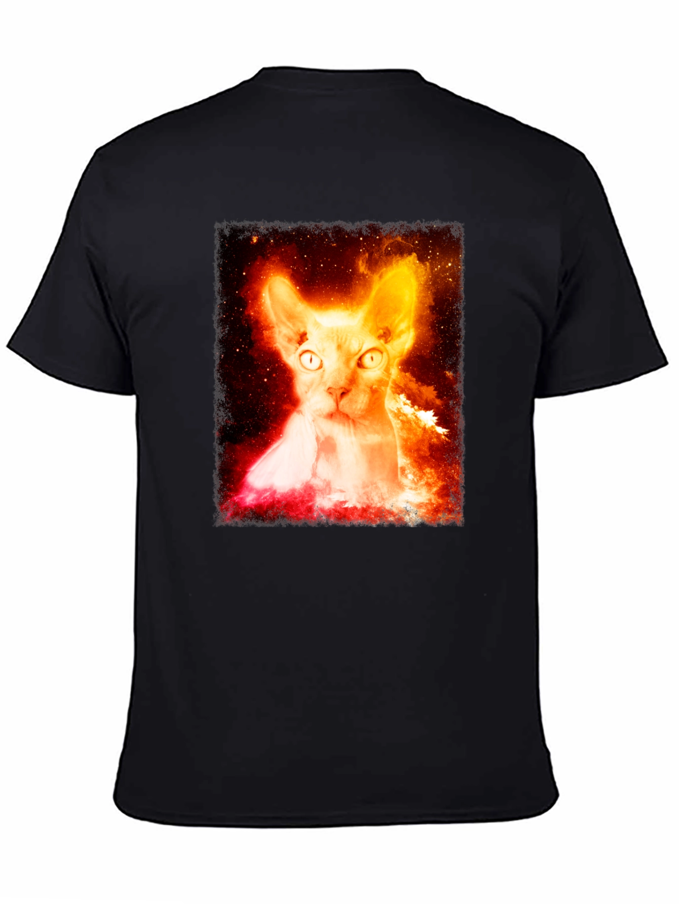 Sphynx Cat Galaxy Graphic Black T-Shirt