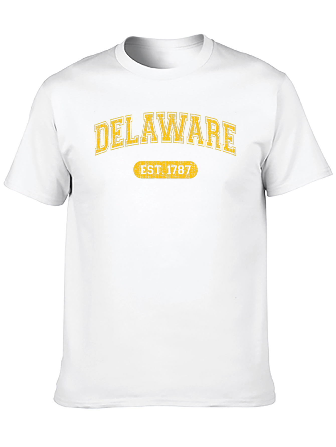 Delaware Est. 1787 Graphic Tee - State Pride