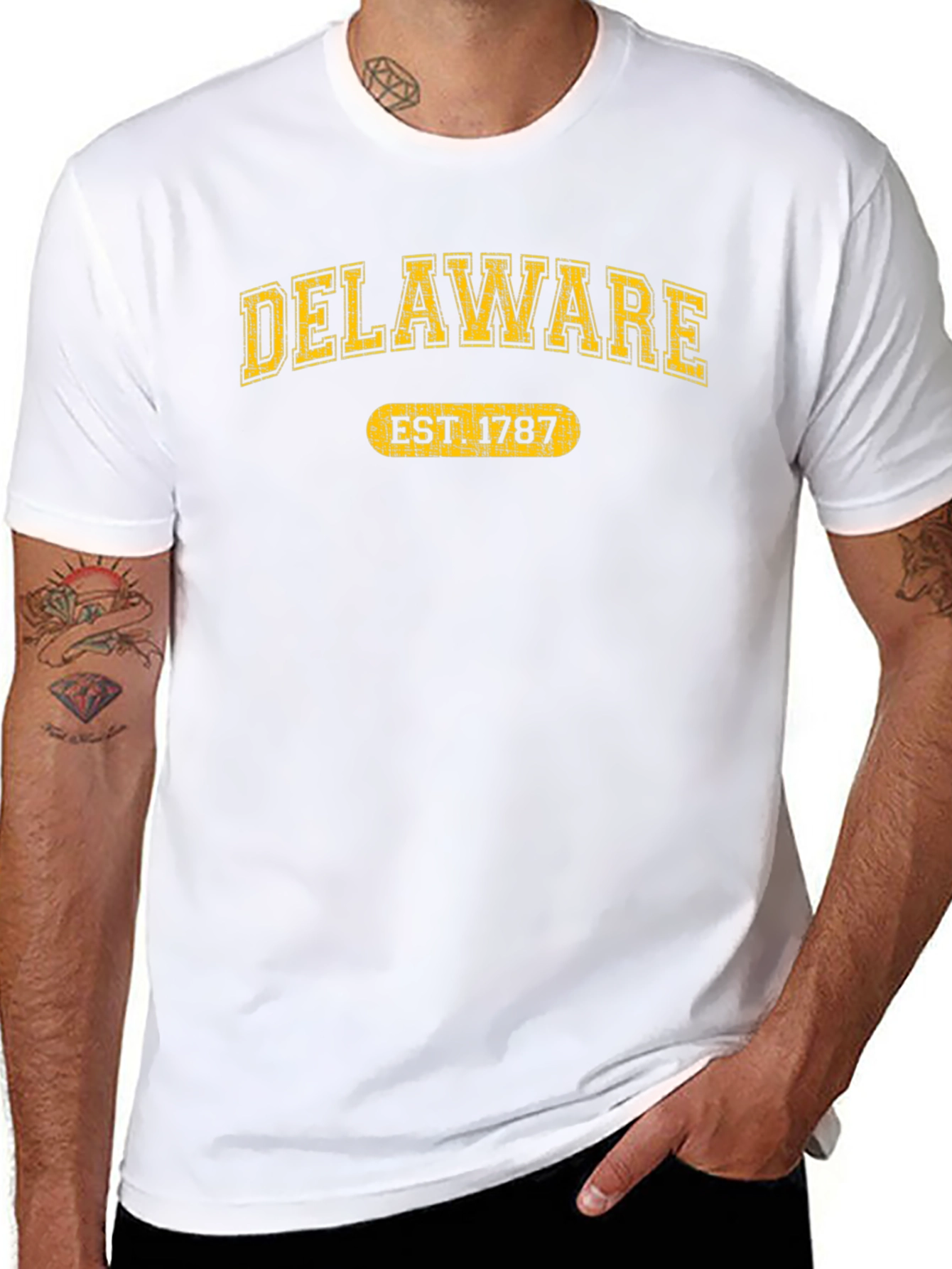 Delaware Est. 1787 Graphic Tee - State Pride