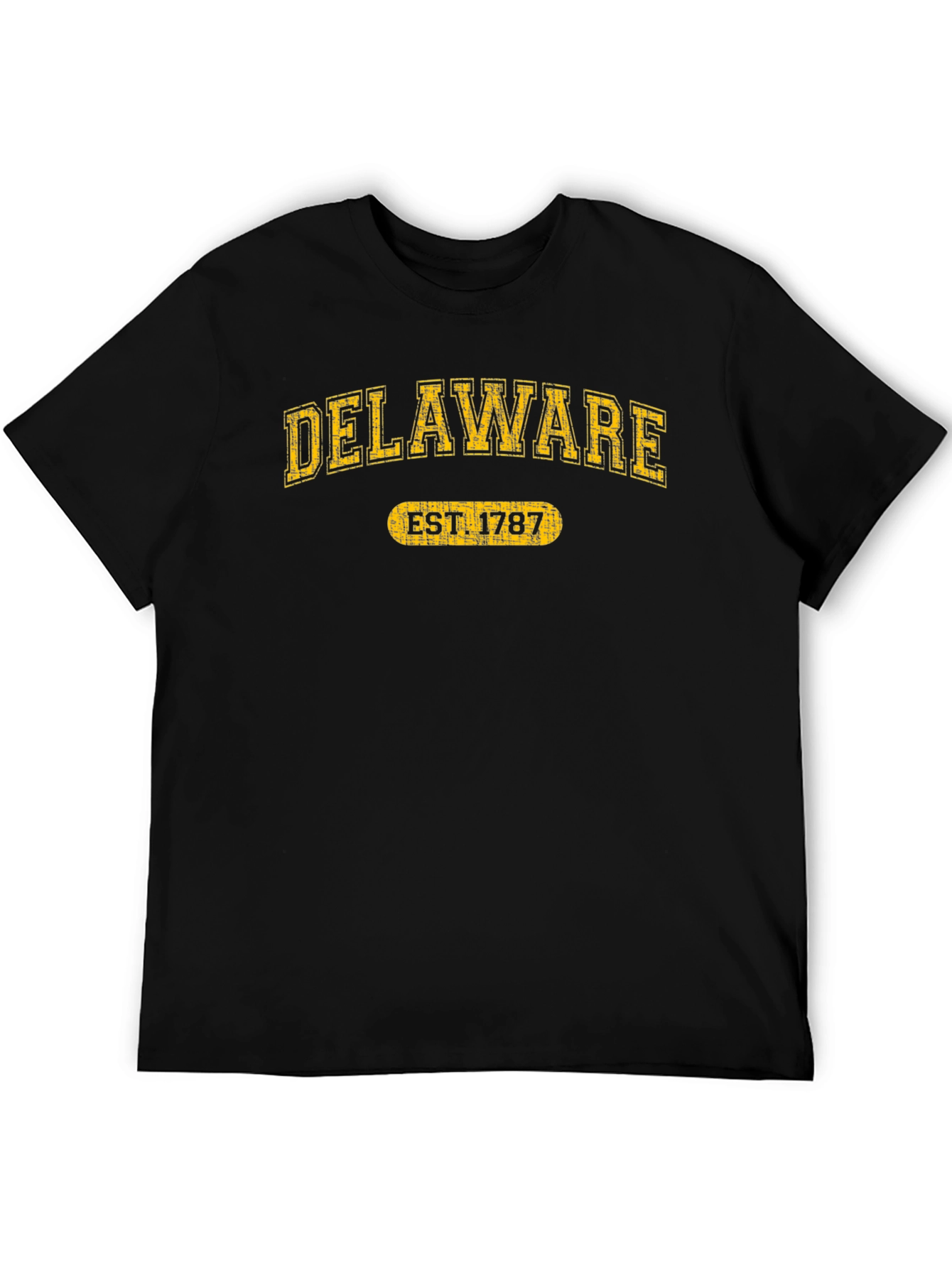 Delaware Est. 1787 Graphic Tee - State Pride