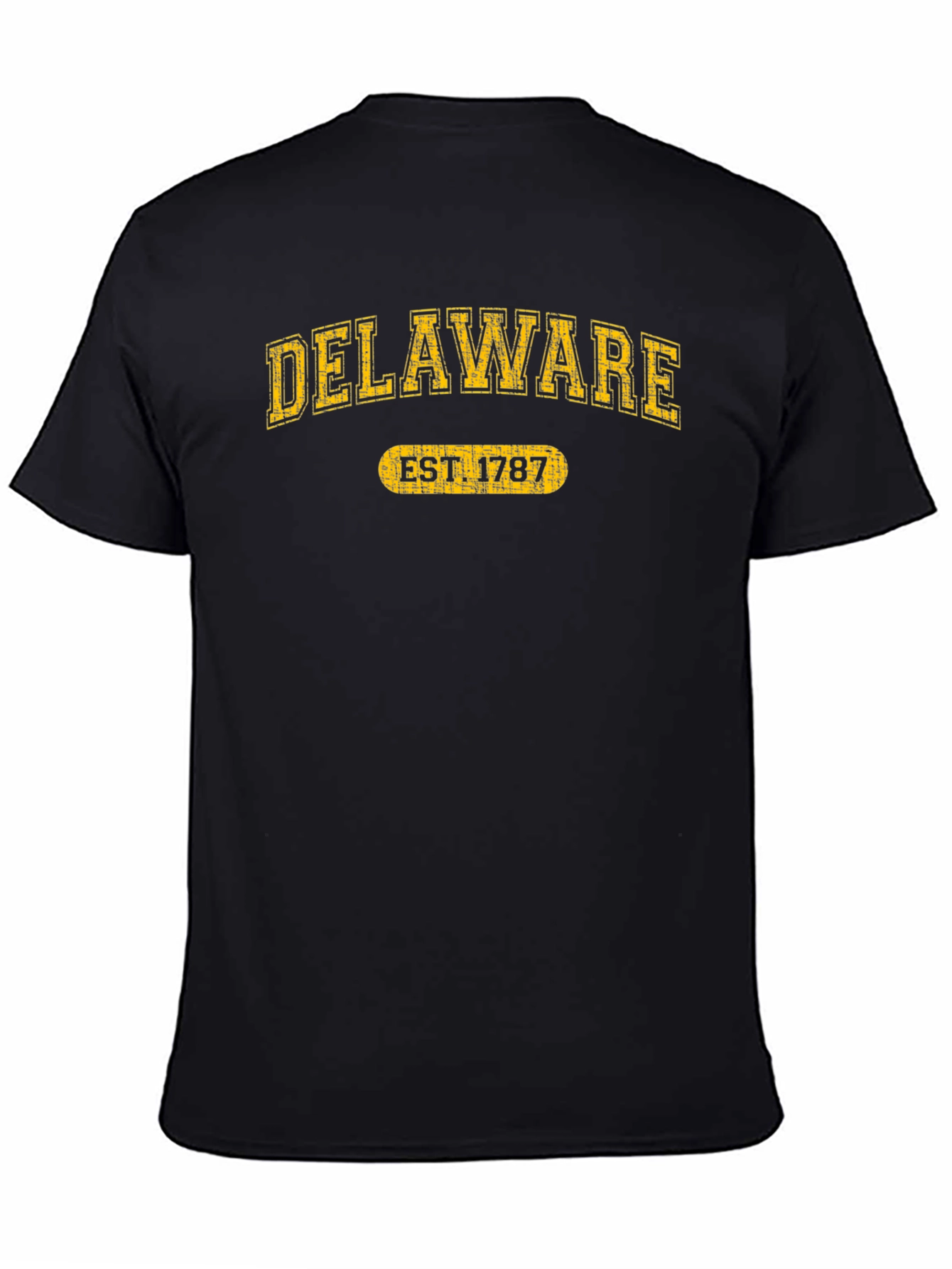 Delaware Est. 1787 Graphic Tee - State Pride