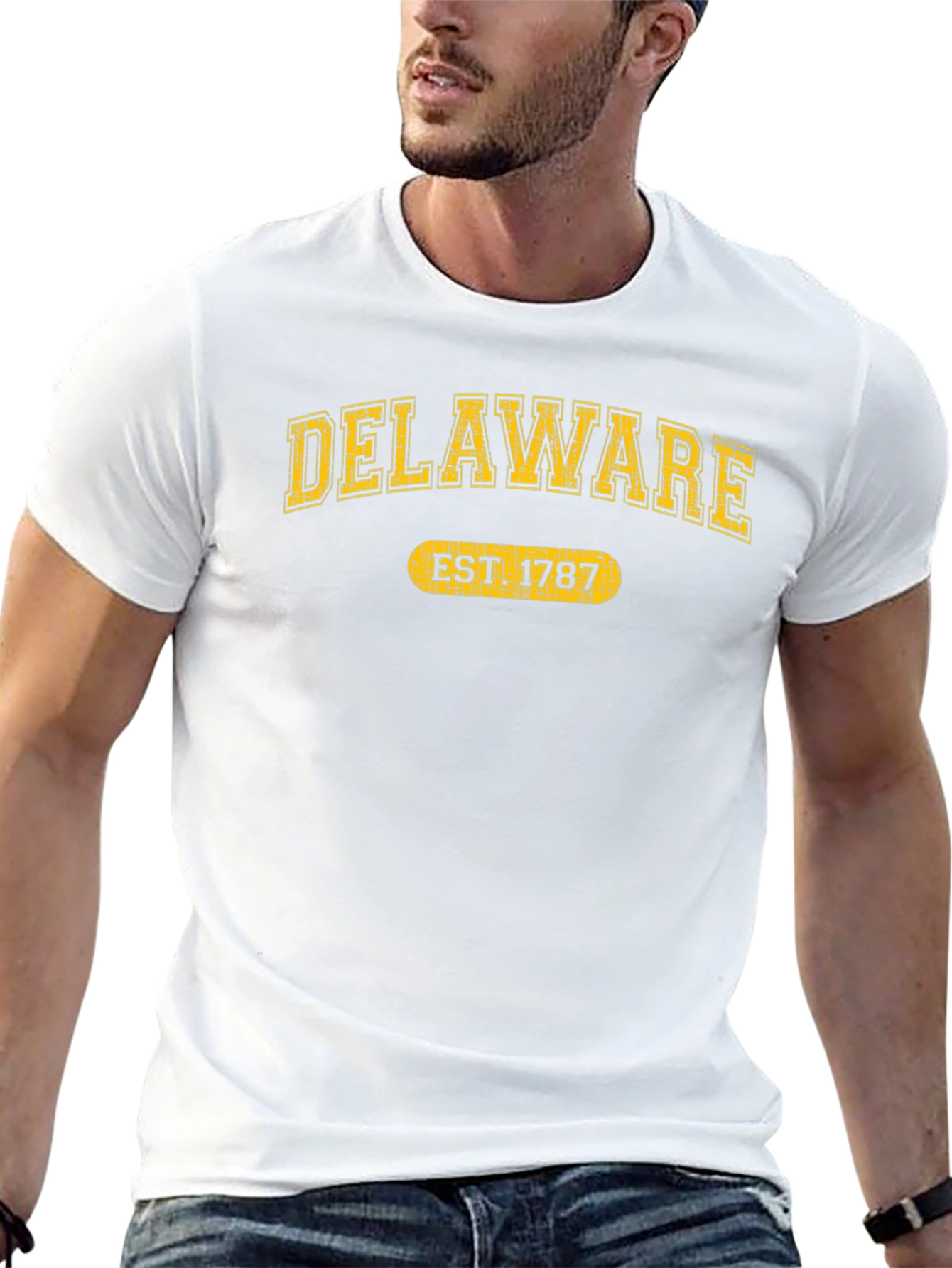 Delaware Est. 1787 Graphic Tee - State Pride