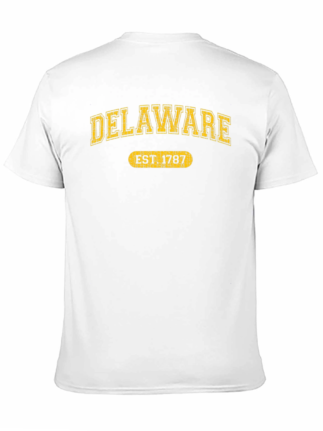 Delaware Est. 1787 Graphic Tee - State Pride