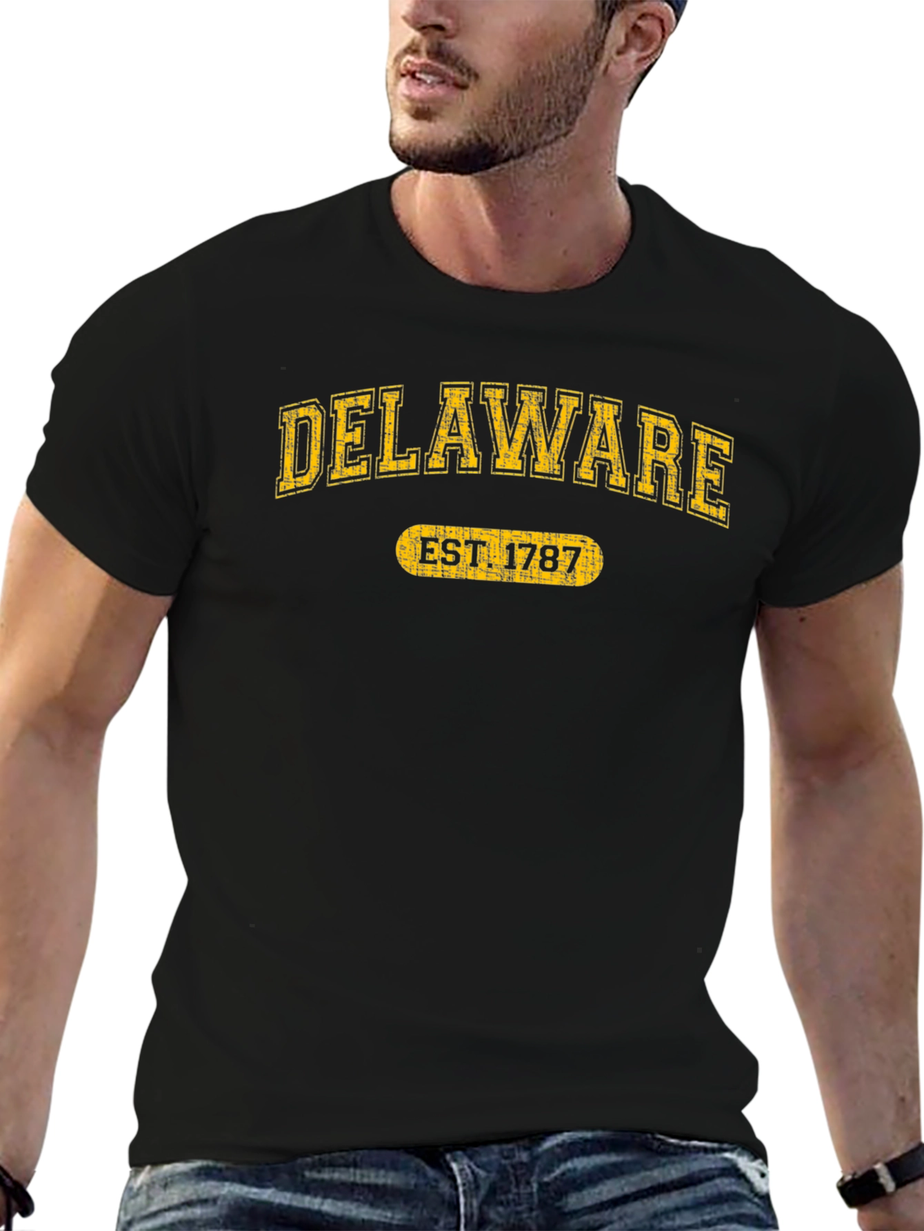 Delaware Est. 1787 Graphic Tee - State Pride