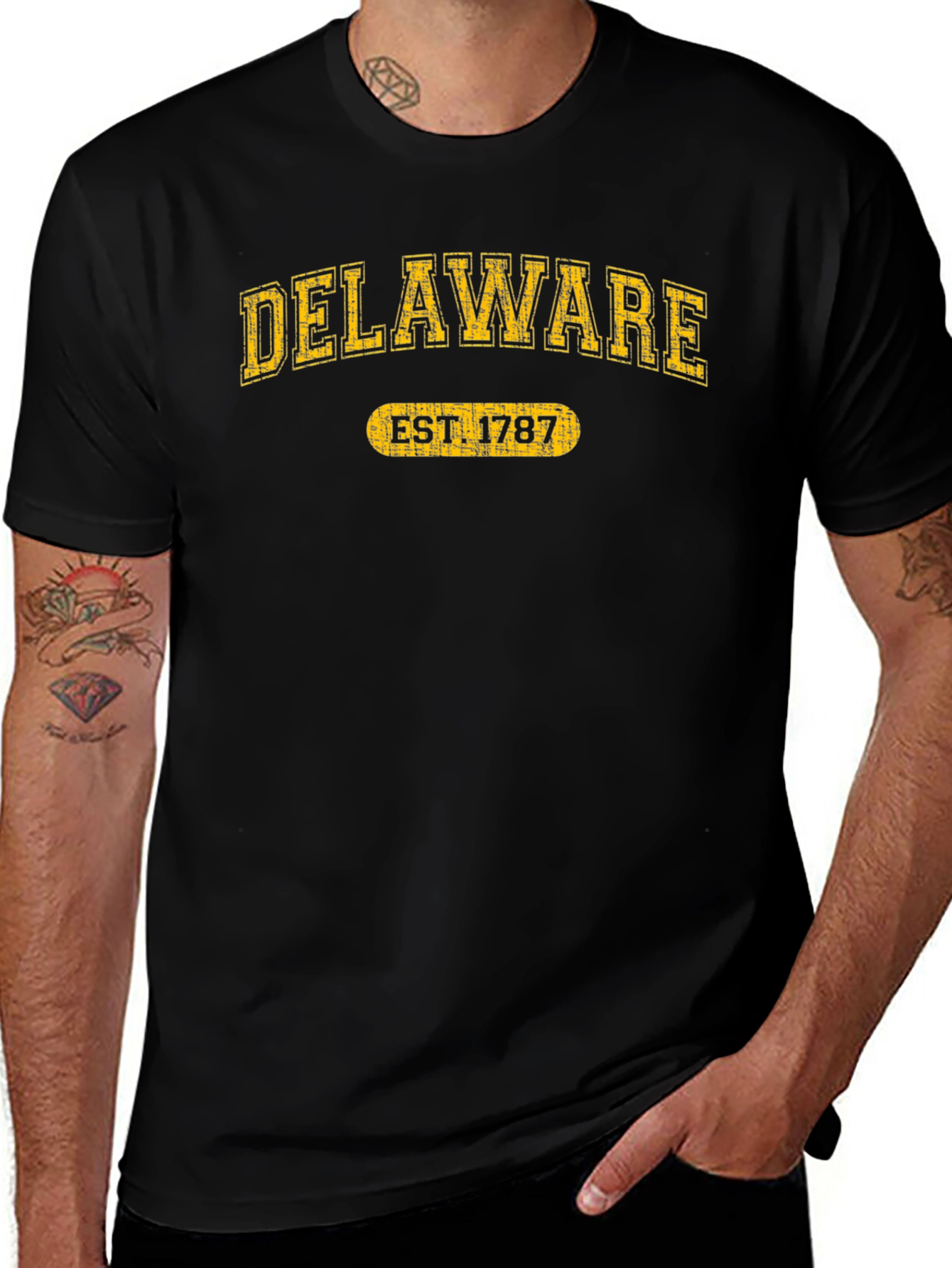 Delaware Est. 1787 Graphic Tee - State Pride