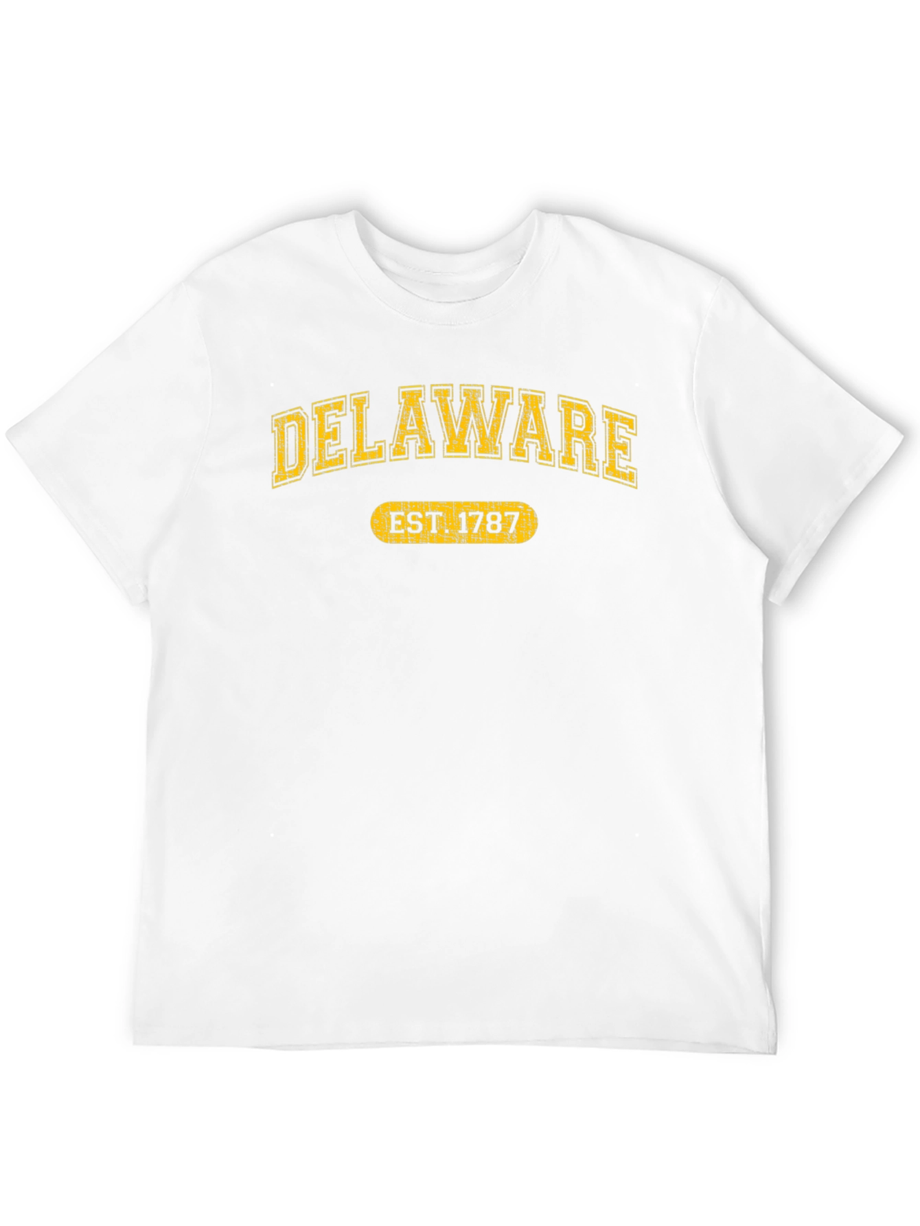 Delaware Est. 1787 Graphic Tee - State Pride