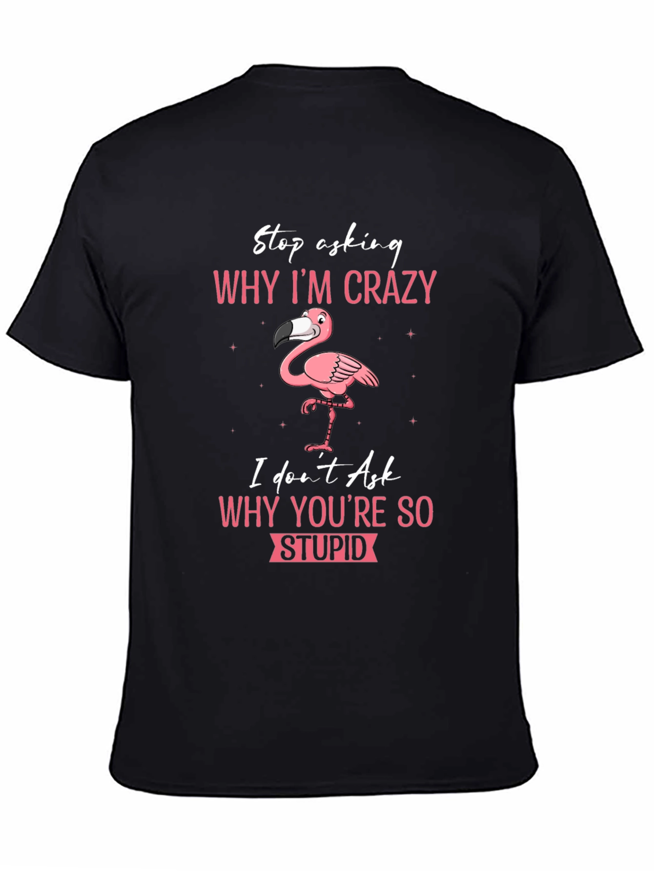 Crazy Flamingo T-Shirt - Stop Asking Why Im Crazy