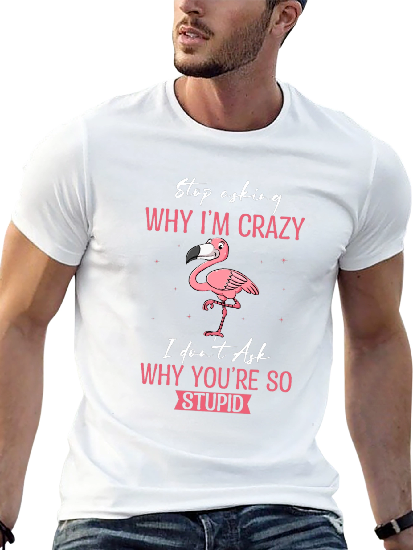 Crazy Flamingo T-Shirt - Stop Asking Why Im Crazy