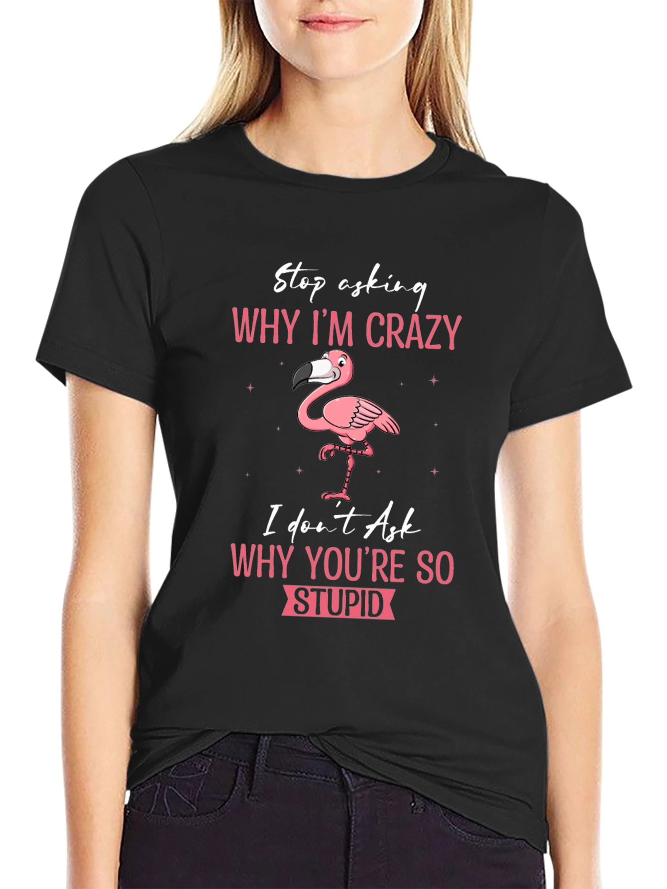 Crazy Flamingo T-Shirt - Stop Asking Why Im Crazy