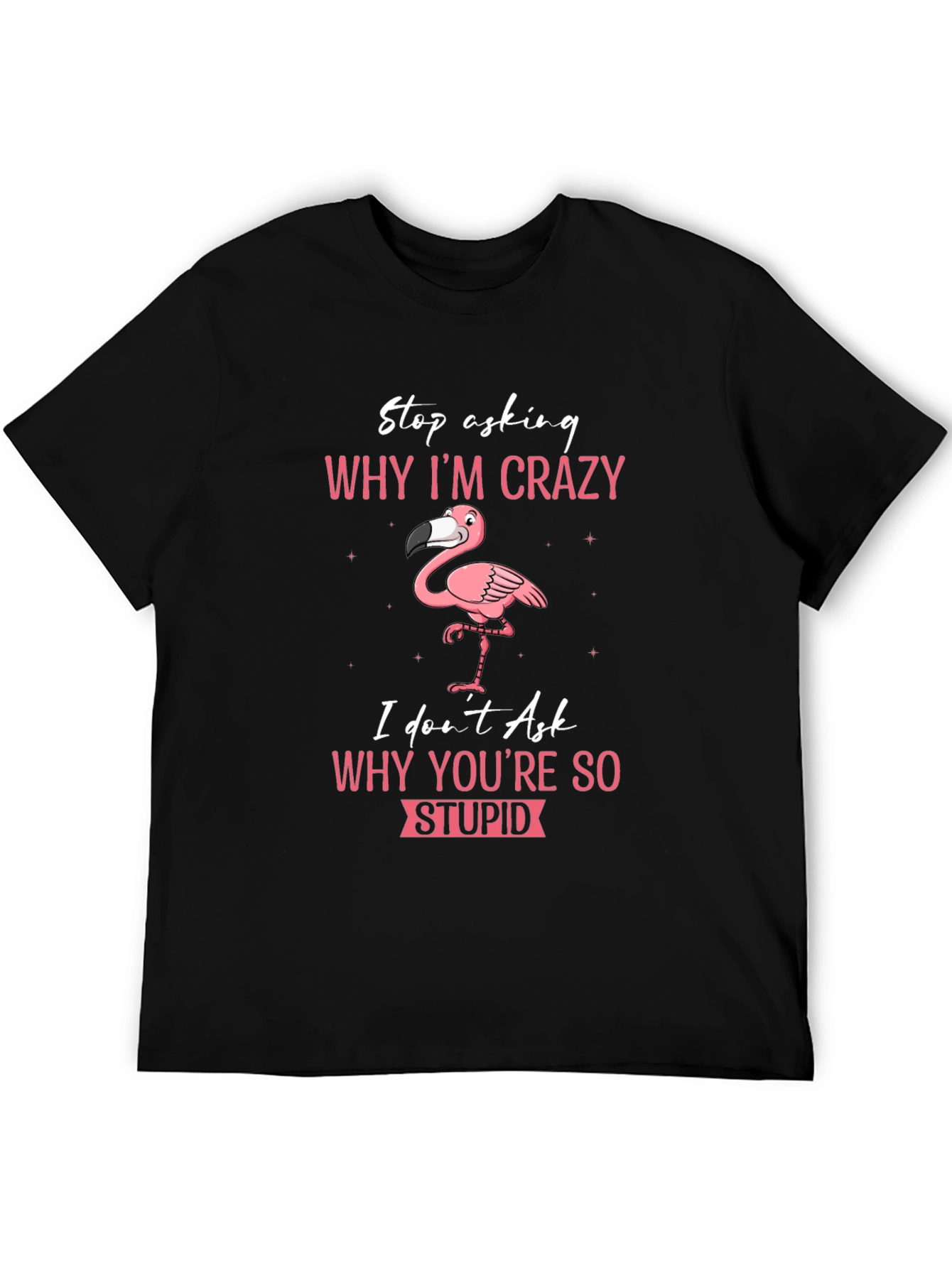 Crazy Flamingo T-Shirt - Stop Asking Why Im Crazy