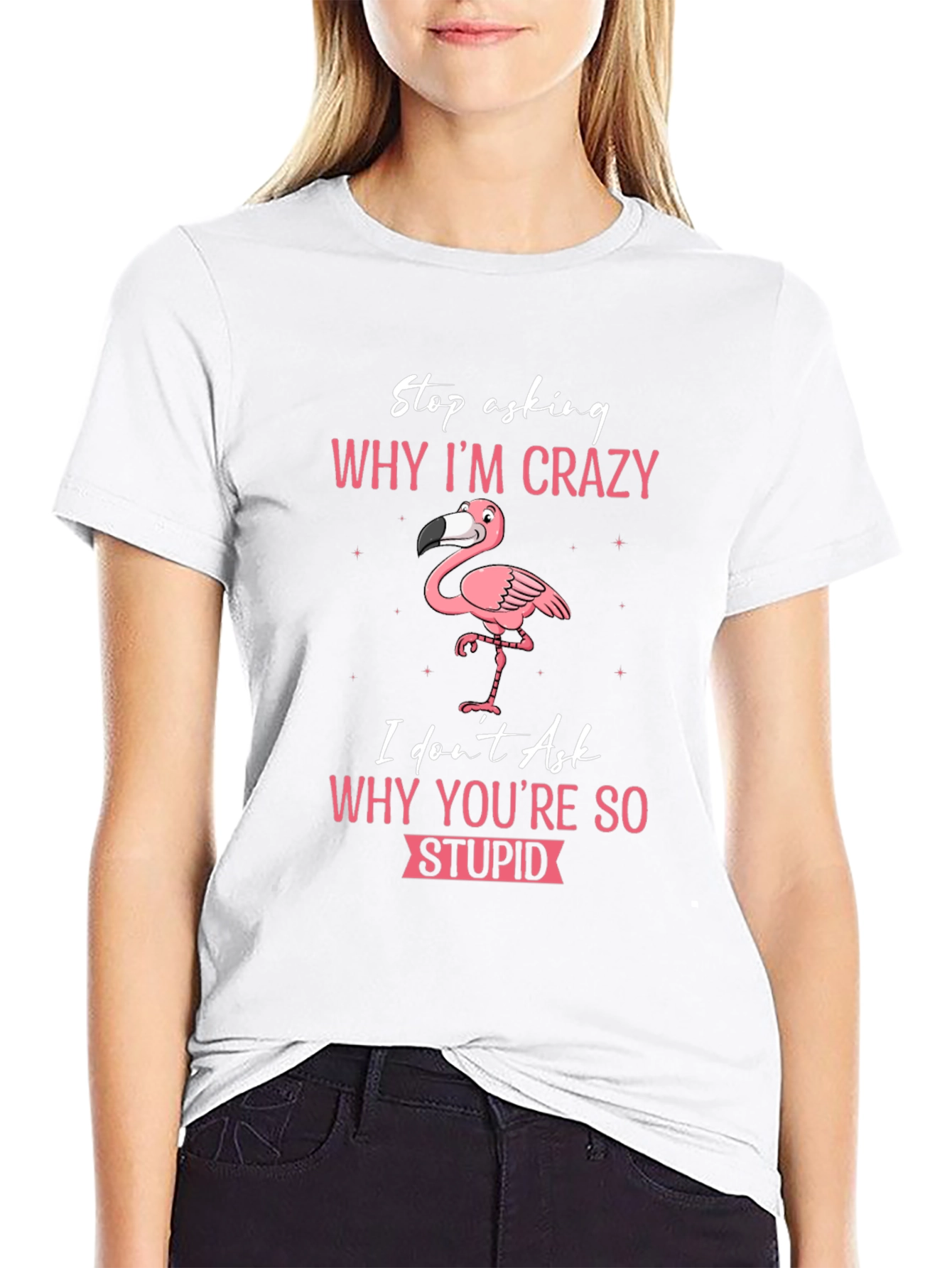 Crazy Flamingo T-Shirt - Stop Asking Why Im Crazy