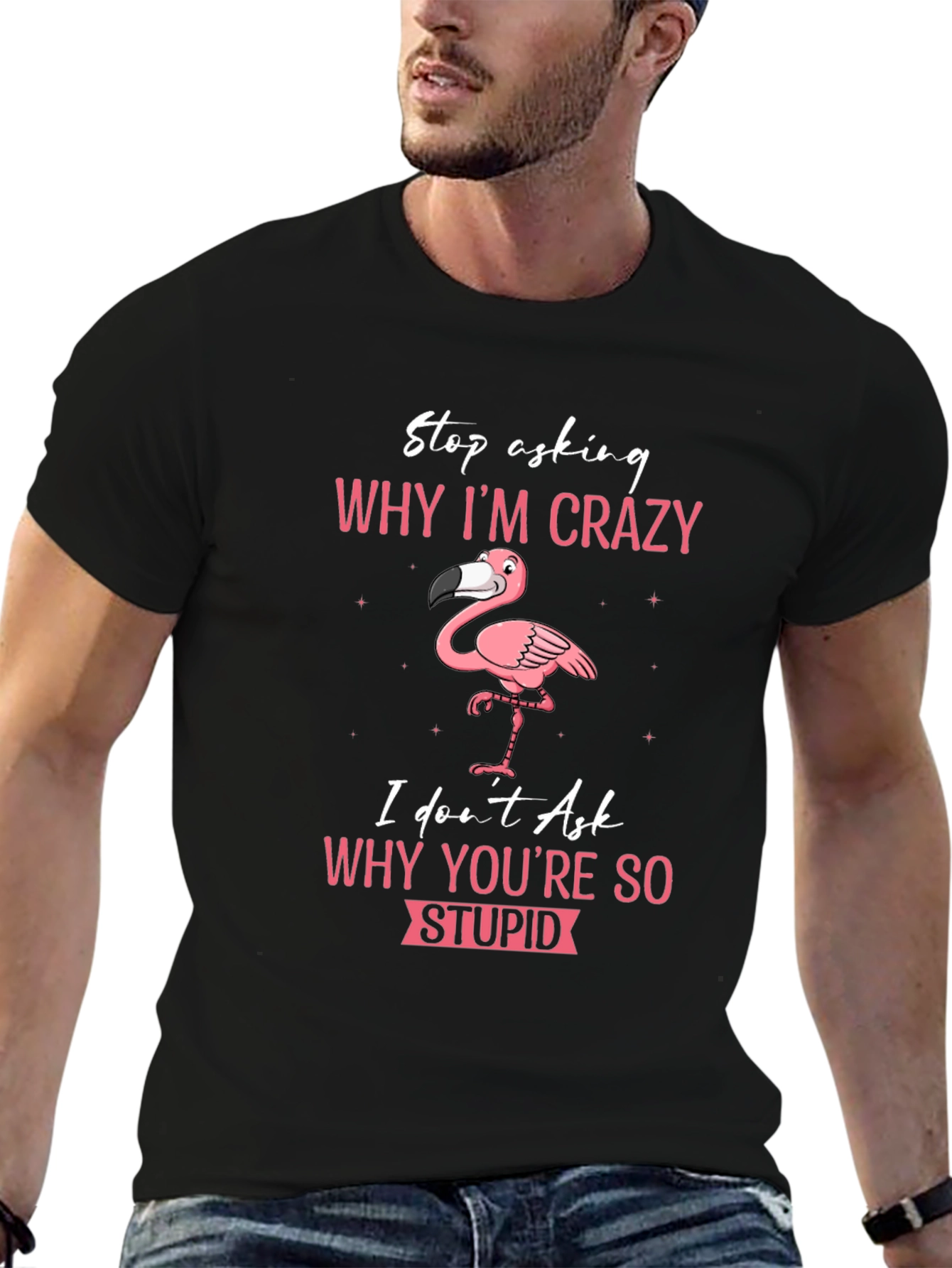Crazy Flamingo T-Shirt - Stop Asking Why Im Crazy