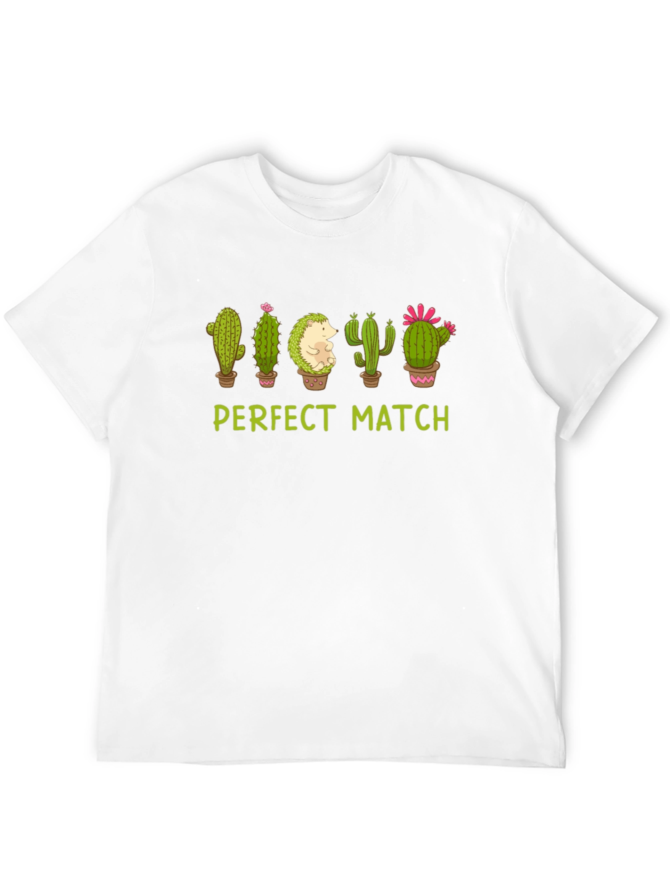 Perfect Match Cactus Hedgehog Graphic Tee