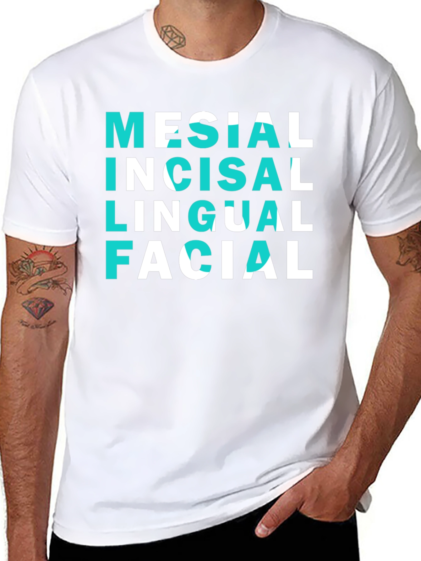 Dental Anatomy T-Shirt - Mesial Incisal Lingual Facial Tee
