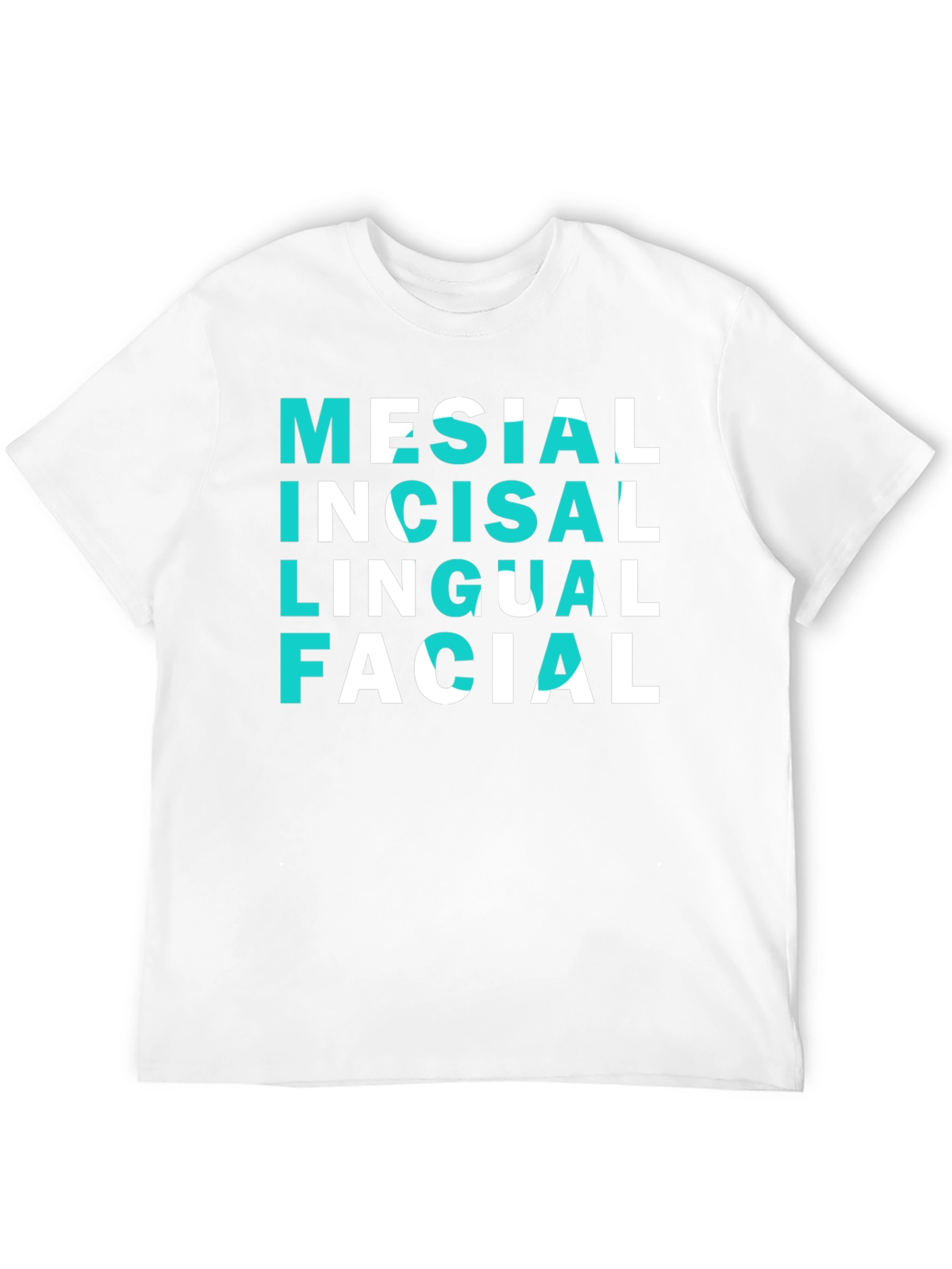 Dental Anatomy T-Shirt - Mesial Incisal Lingual Facial Tee