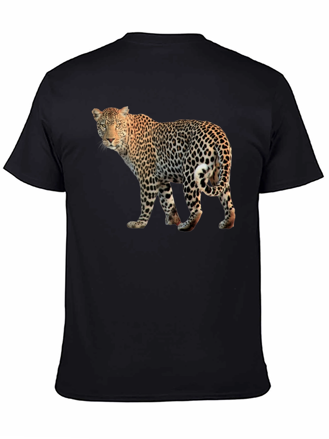 Leopard Graphic Print Black T-Shirt