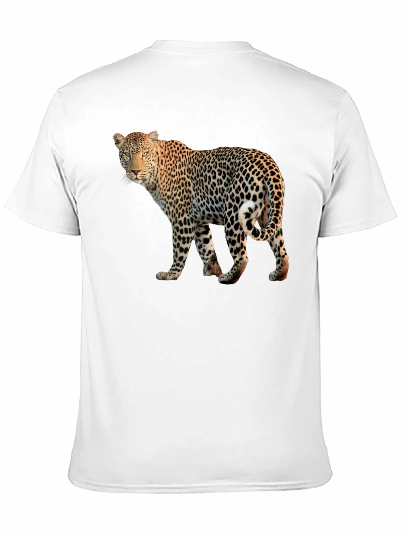 Leopard Graphic Print Black T-Shirt