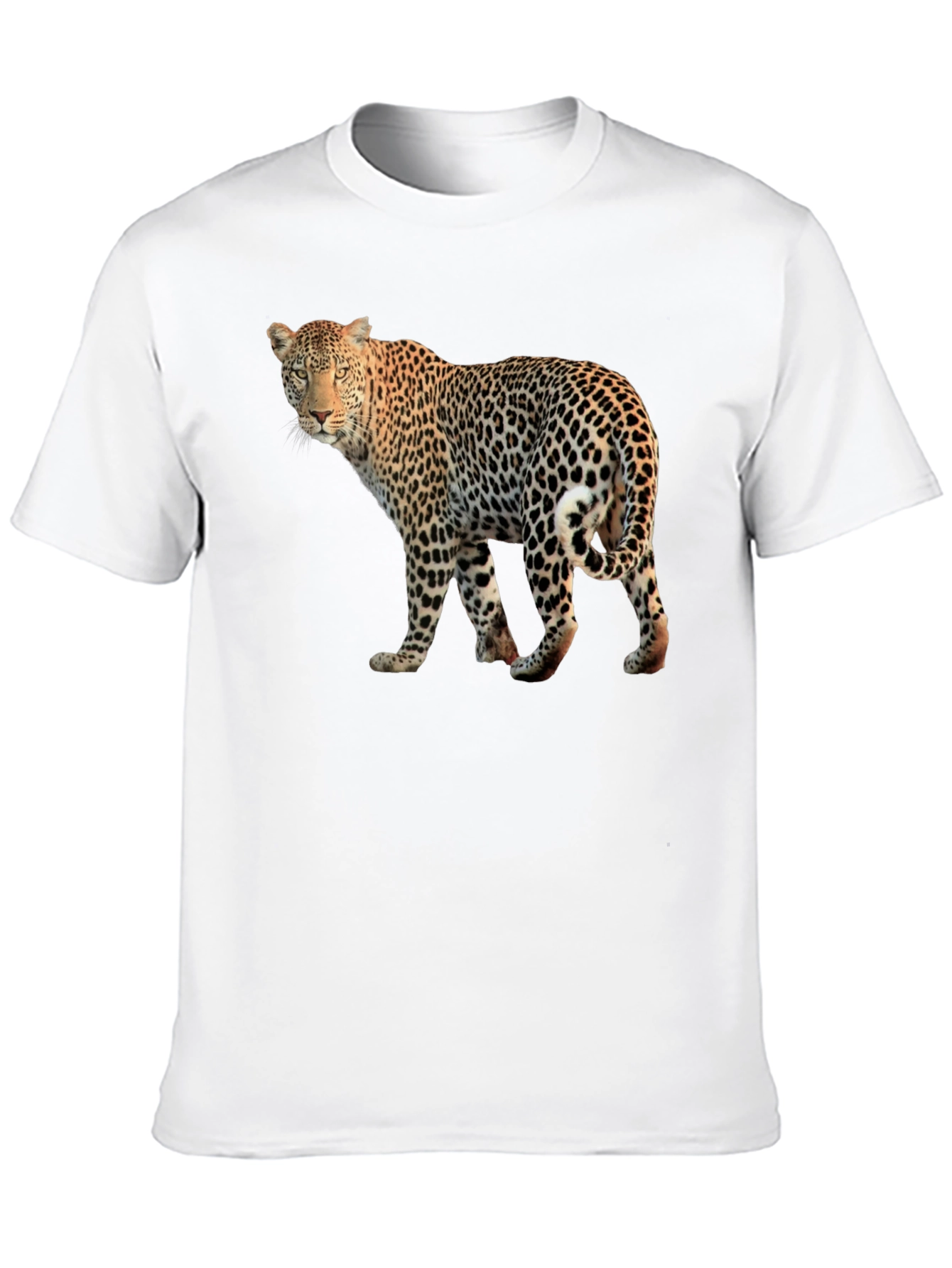 Leopard Graphic Print Black T-Shirt