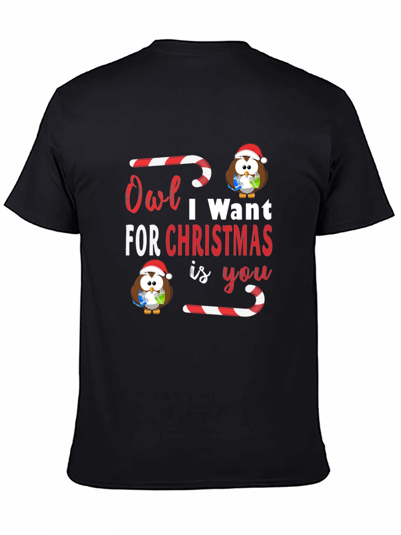 Owl I Want For Christmas T-Shirt