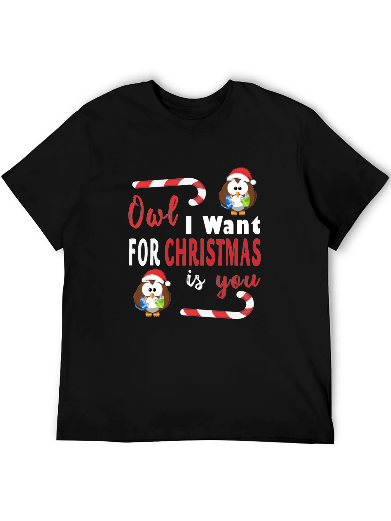 Owl I Want For Christmas T-Shirt