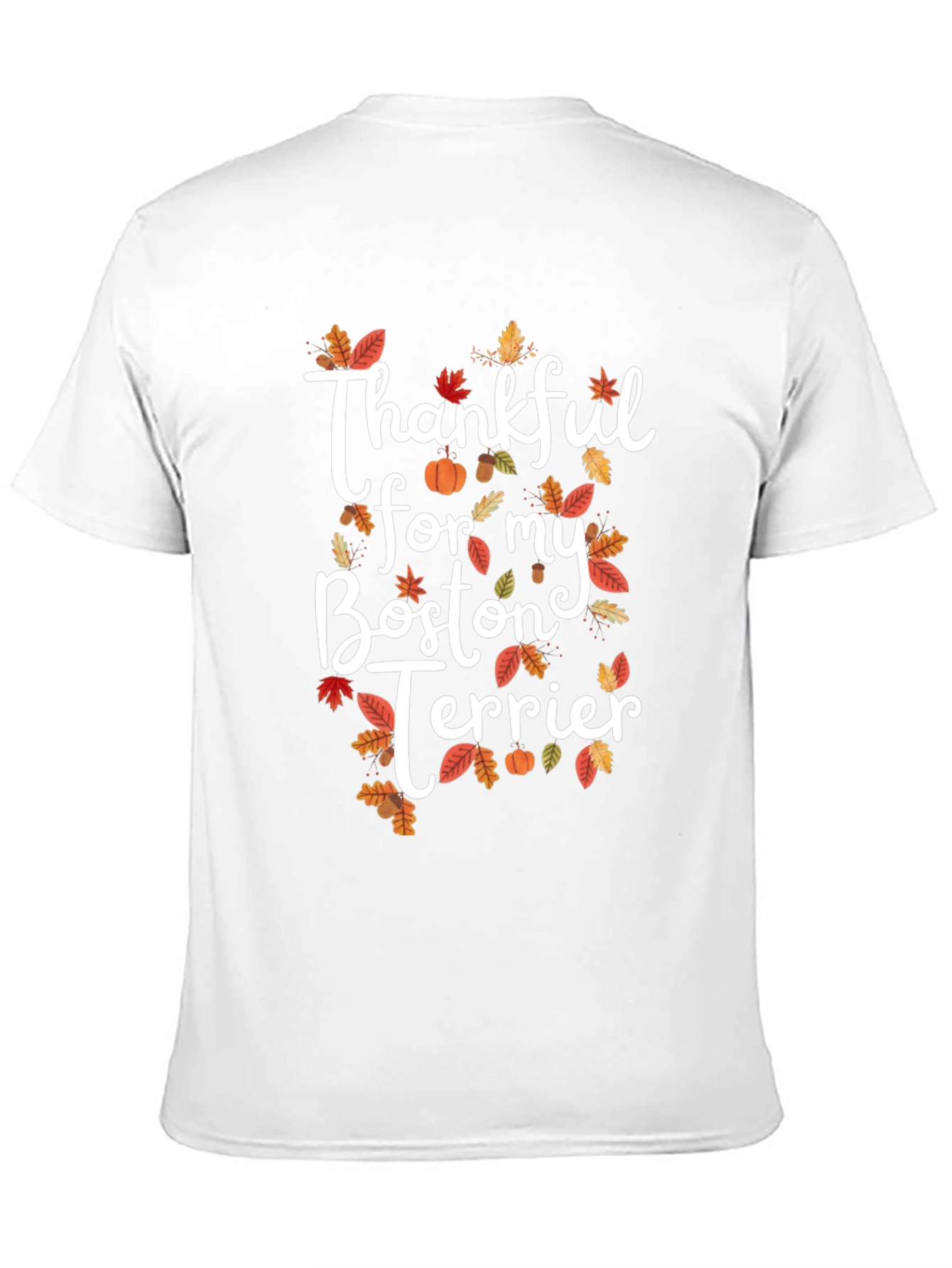 Thankful For My Boston Terrier T-Shirt