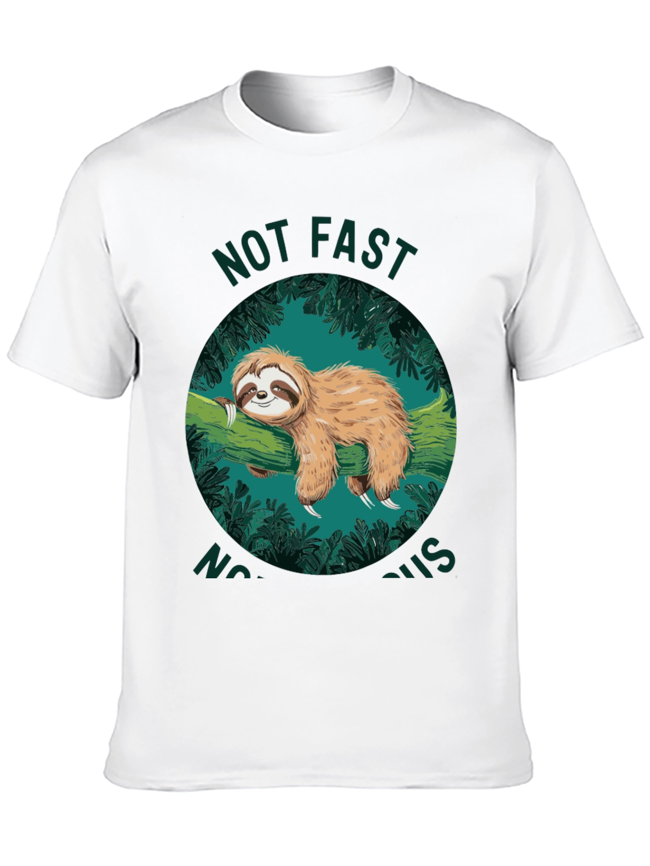 Not Fast Not Furious Sloth Graphic T-Shirt